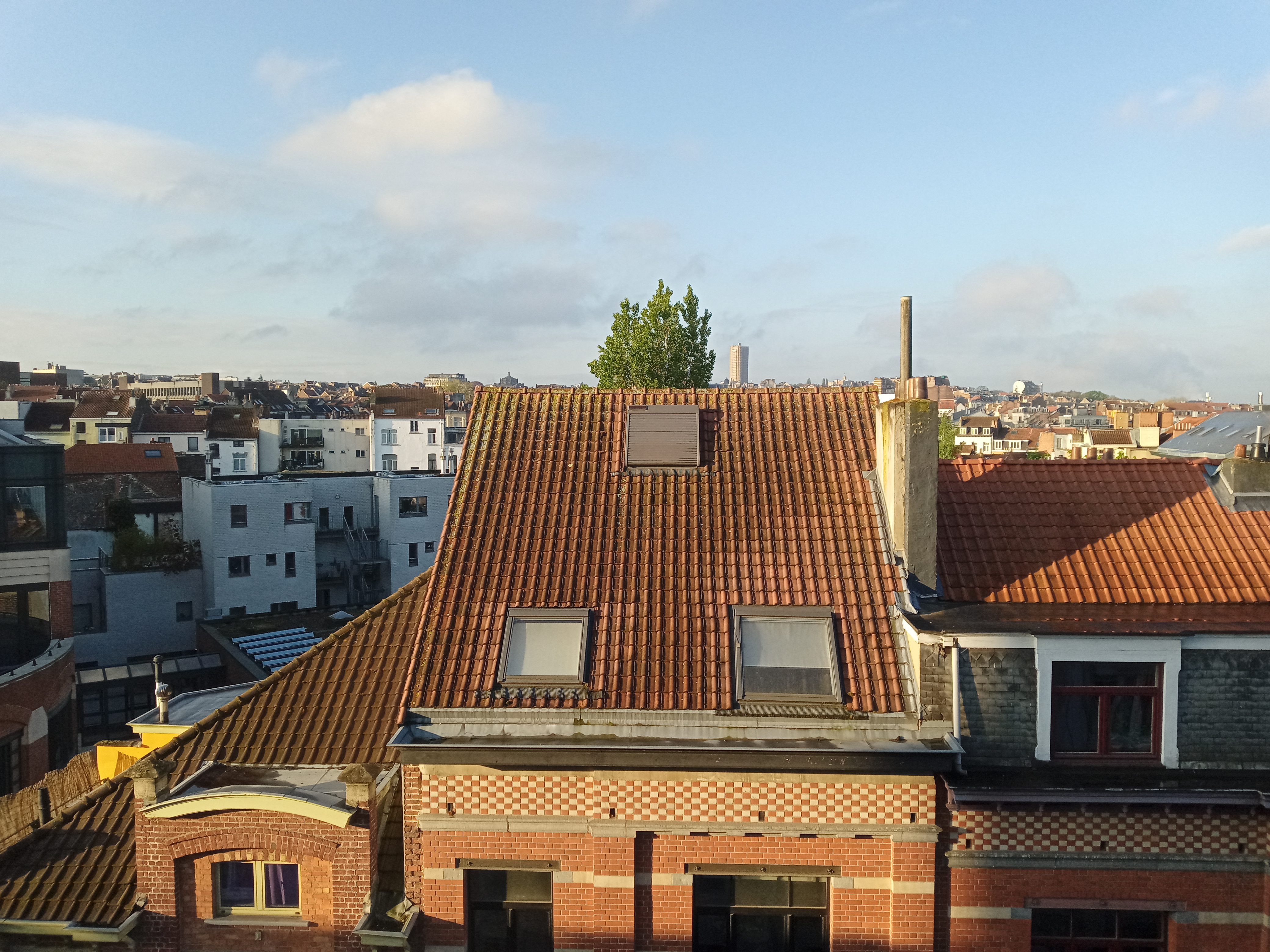 IMG_20240418_075817_7.jpg