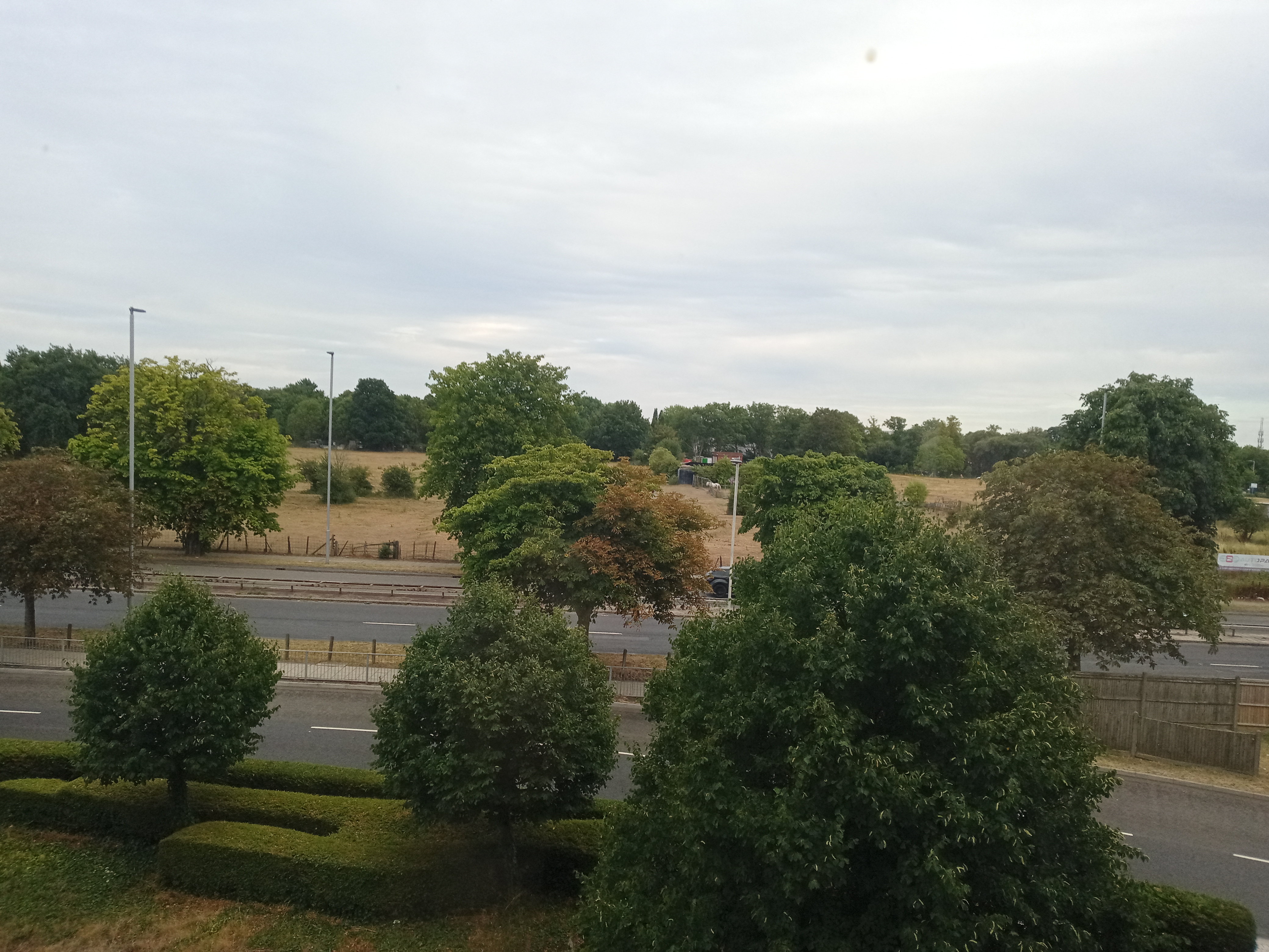 IMG_20250716_191915_3.jpg
