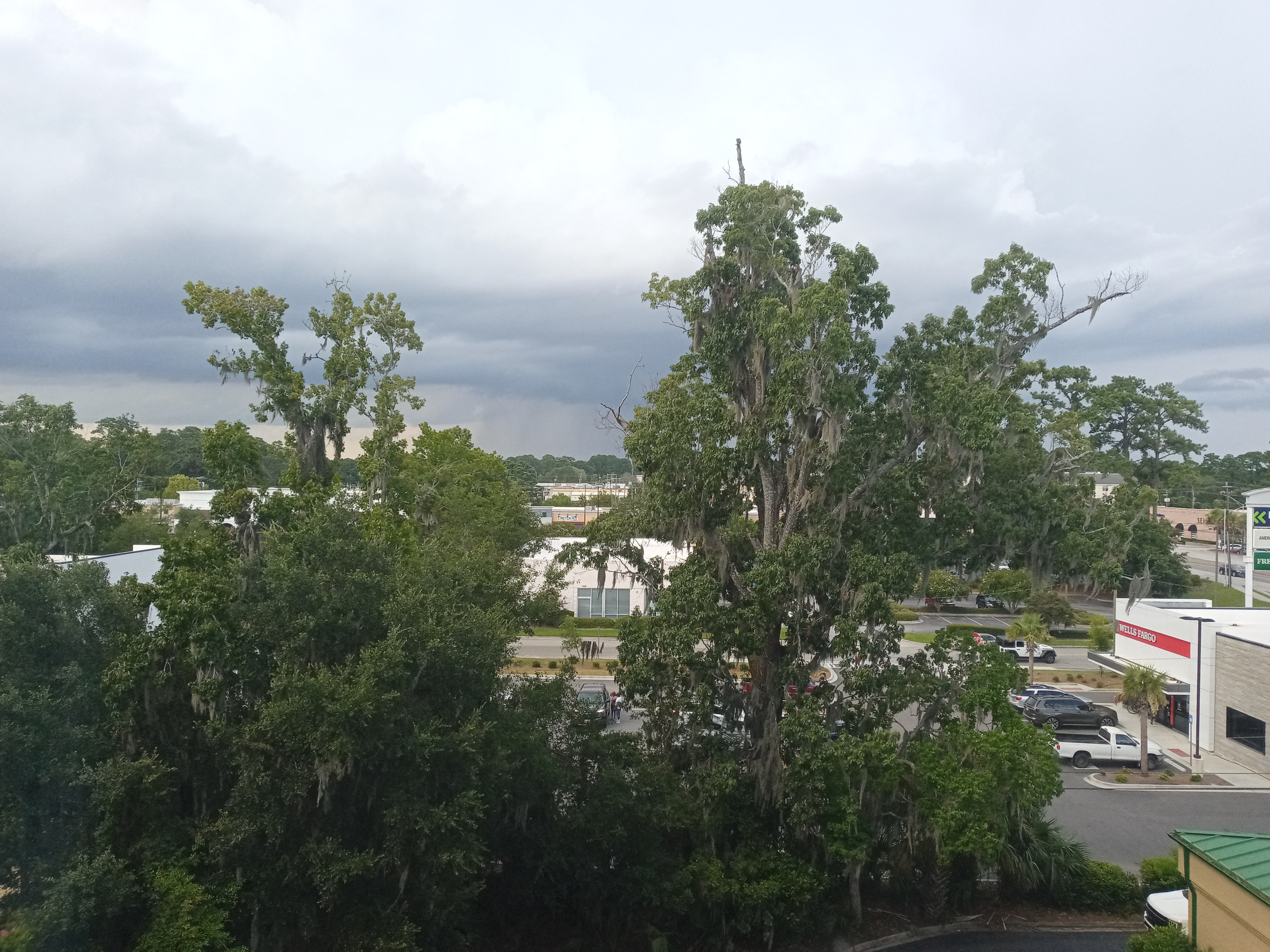 IMG_20250718_161906_5.jpg