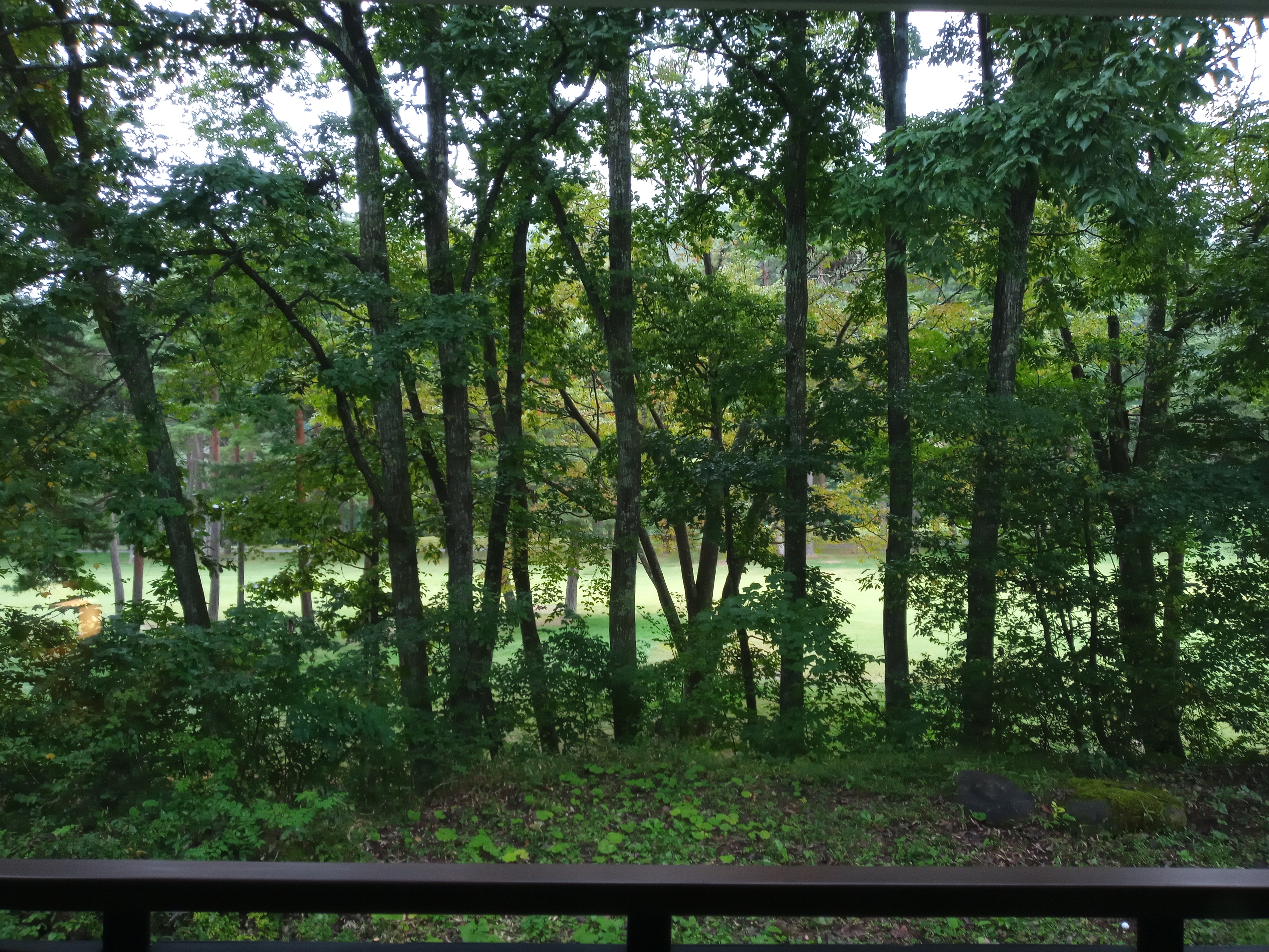IMG_20251009_072737_6.jpg
