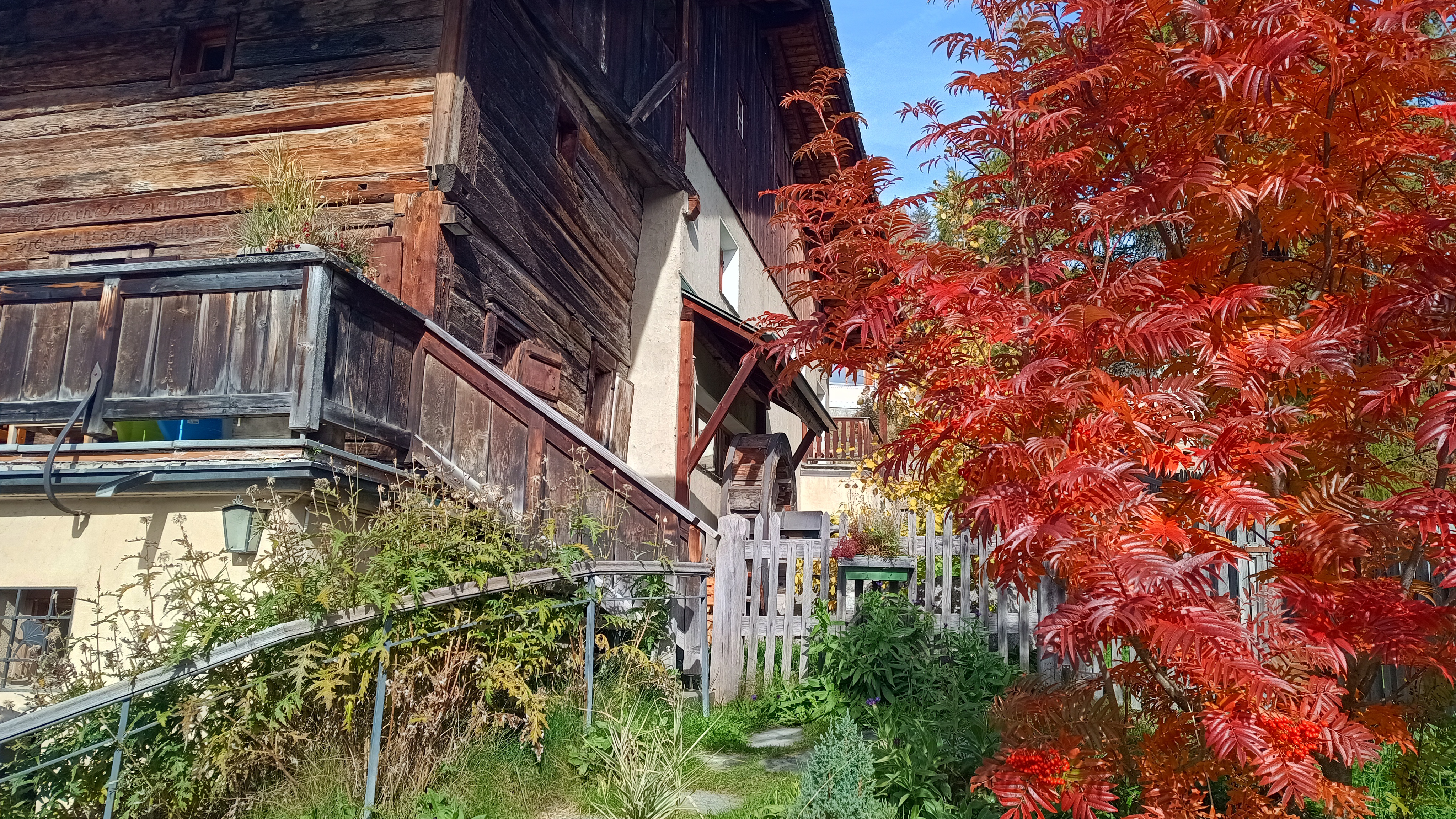 IMG_20251010_113102326_HDR.jpg