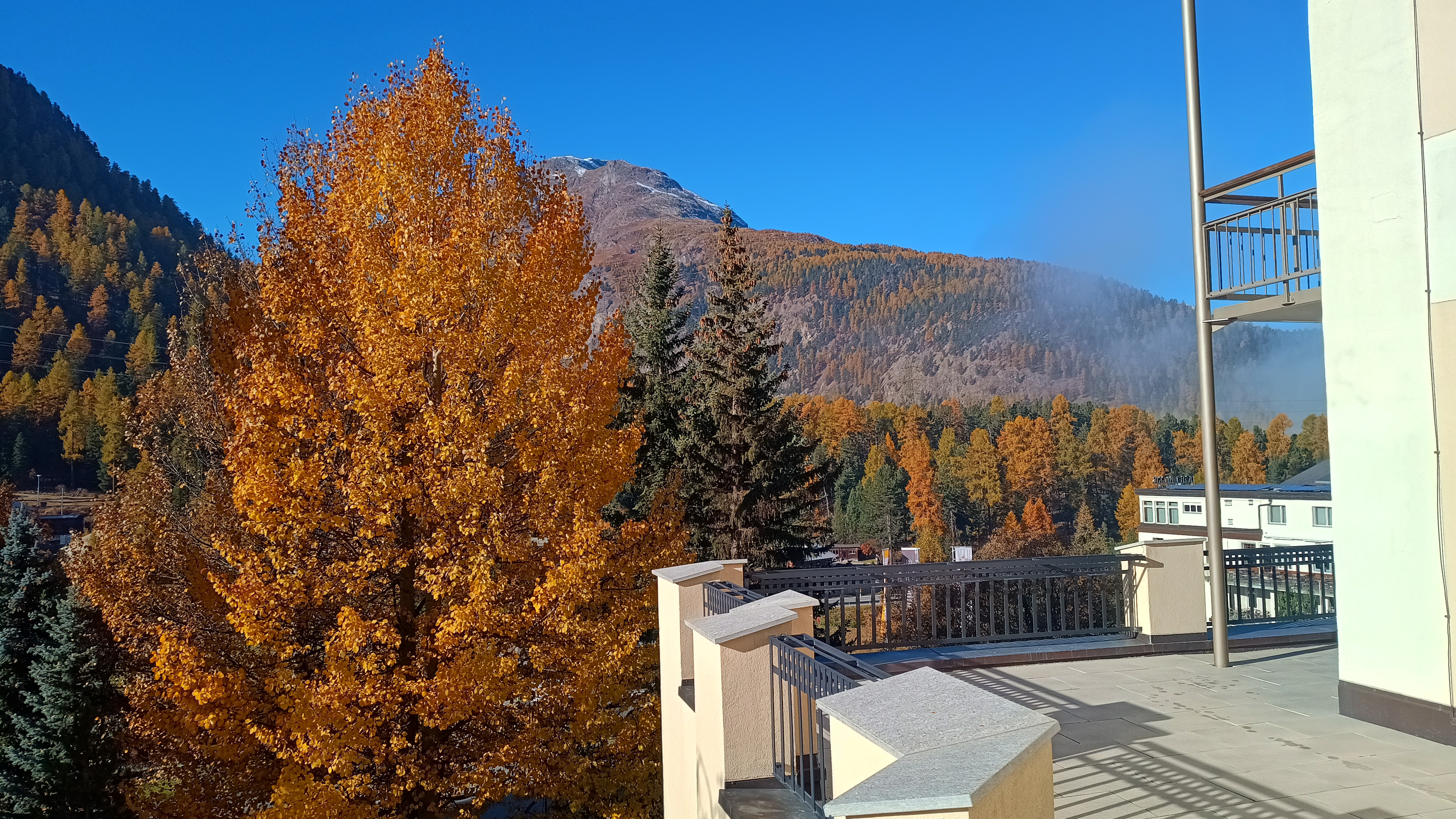 IMG_20251015_095053734_HDR.jpg