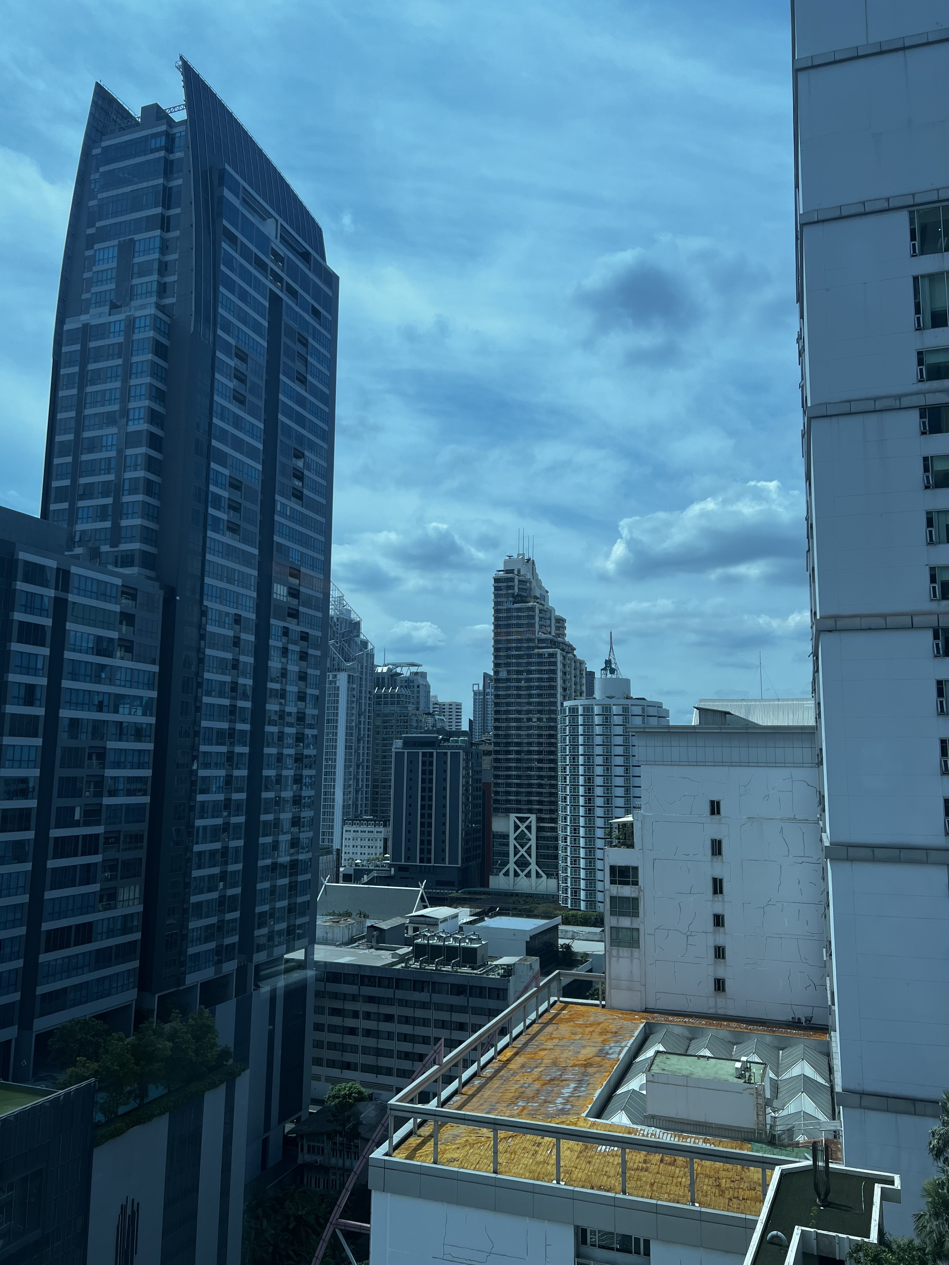 IMG_2147.jpeg