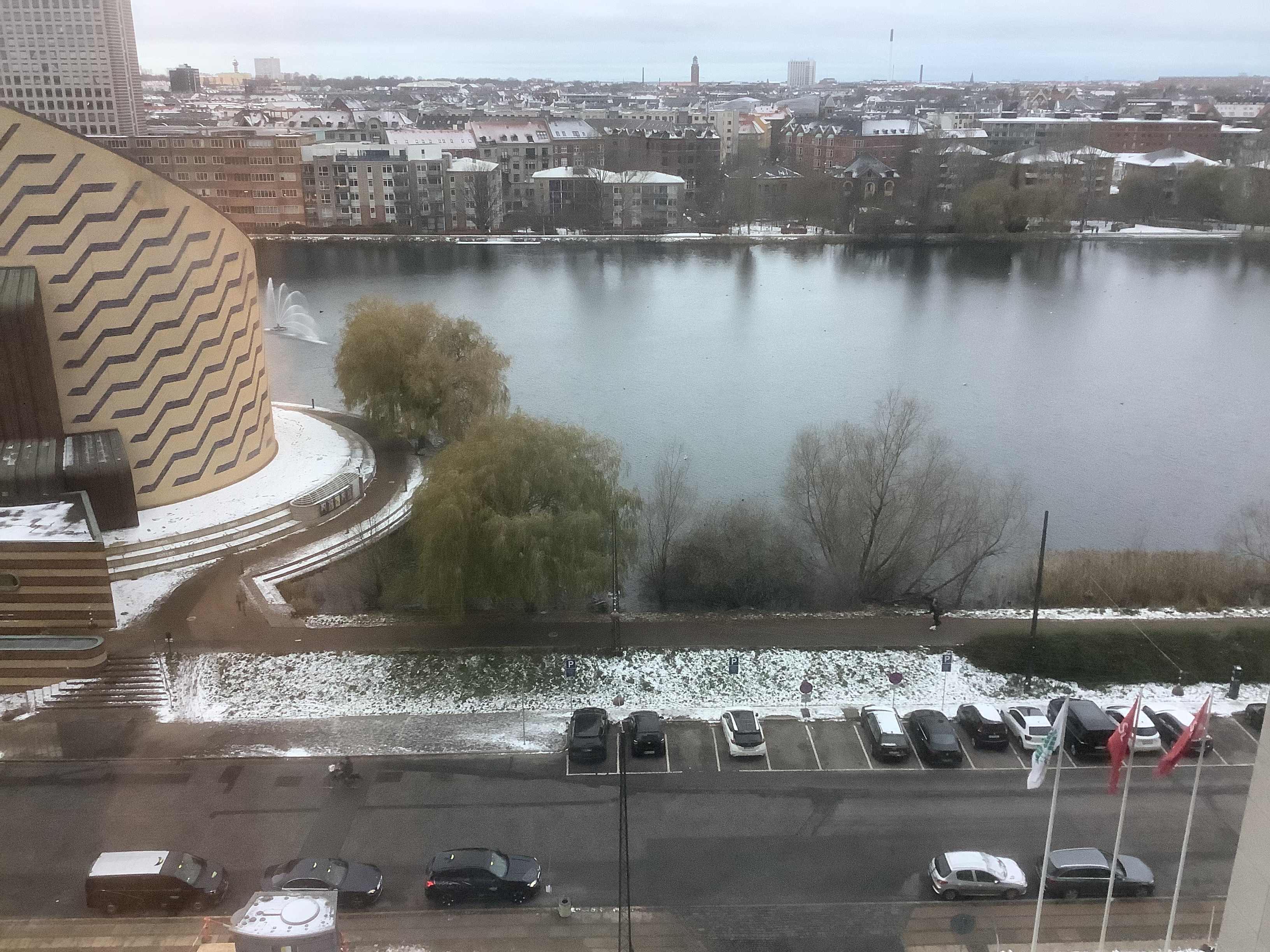 IMG_2148.jpeg