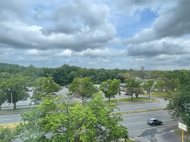 IMG_2171.jpeg