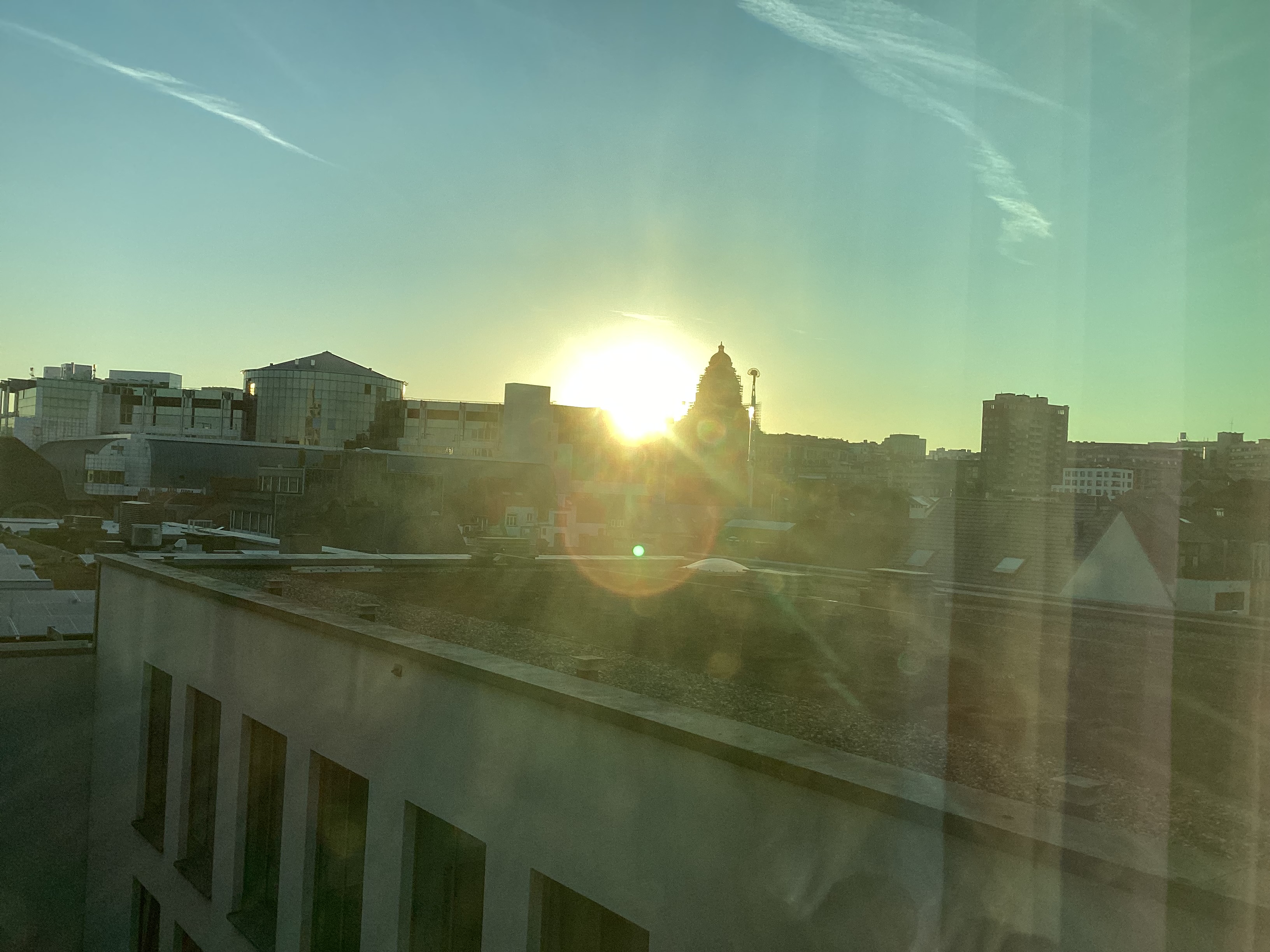 IMG_2176.jpeg