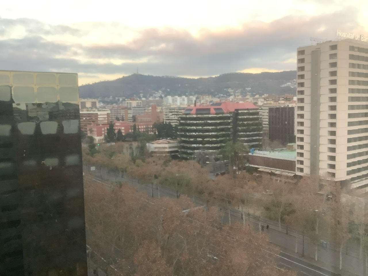 IMG_2221.jpeg