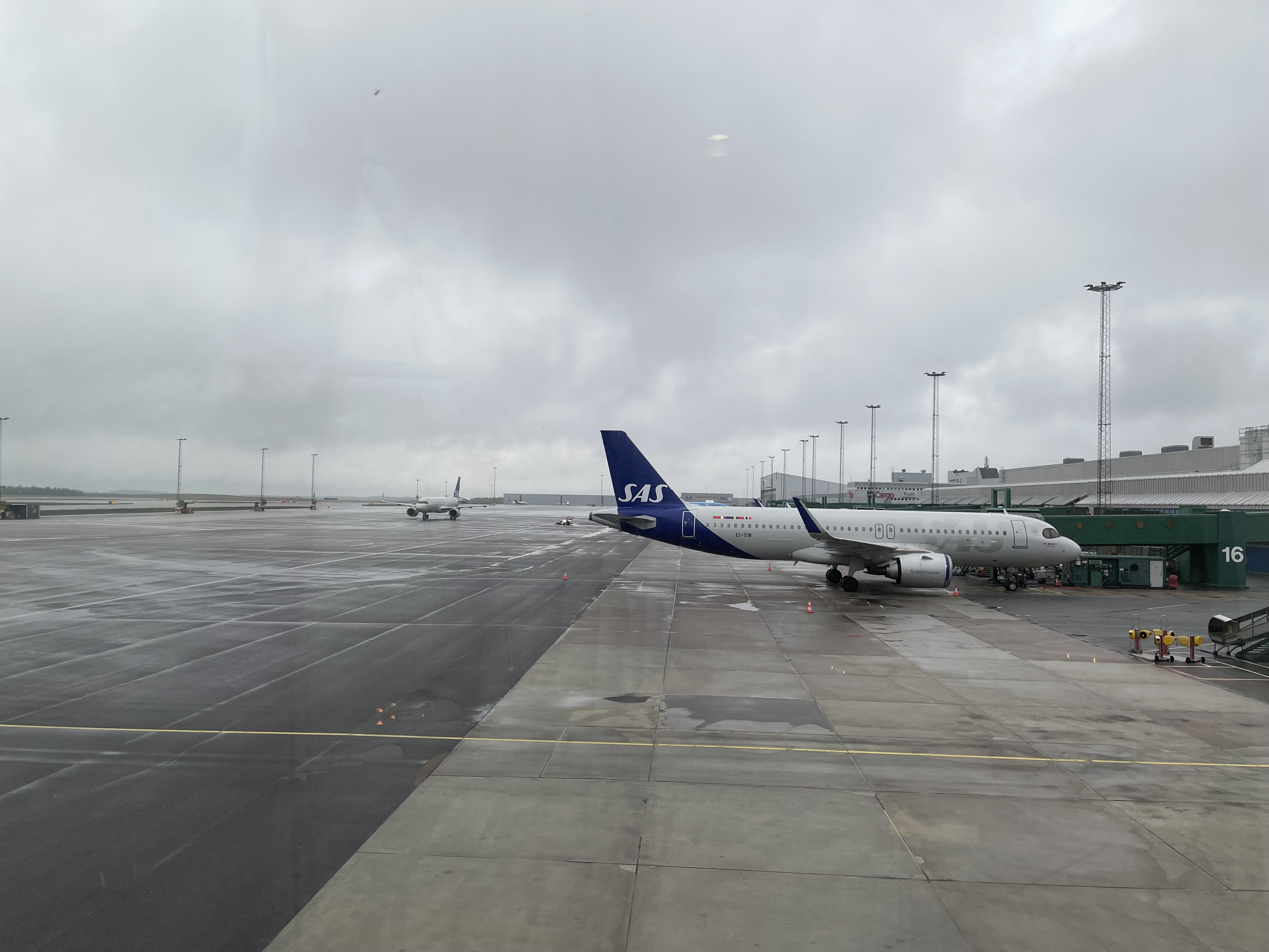 IMG_2245.jpeg