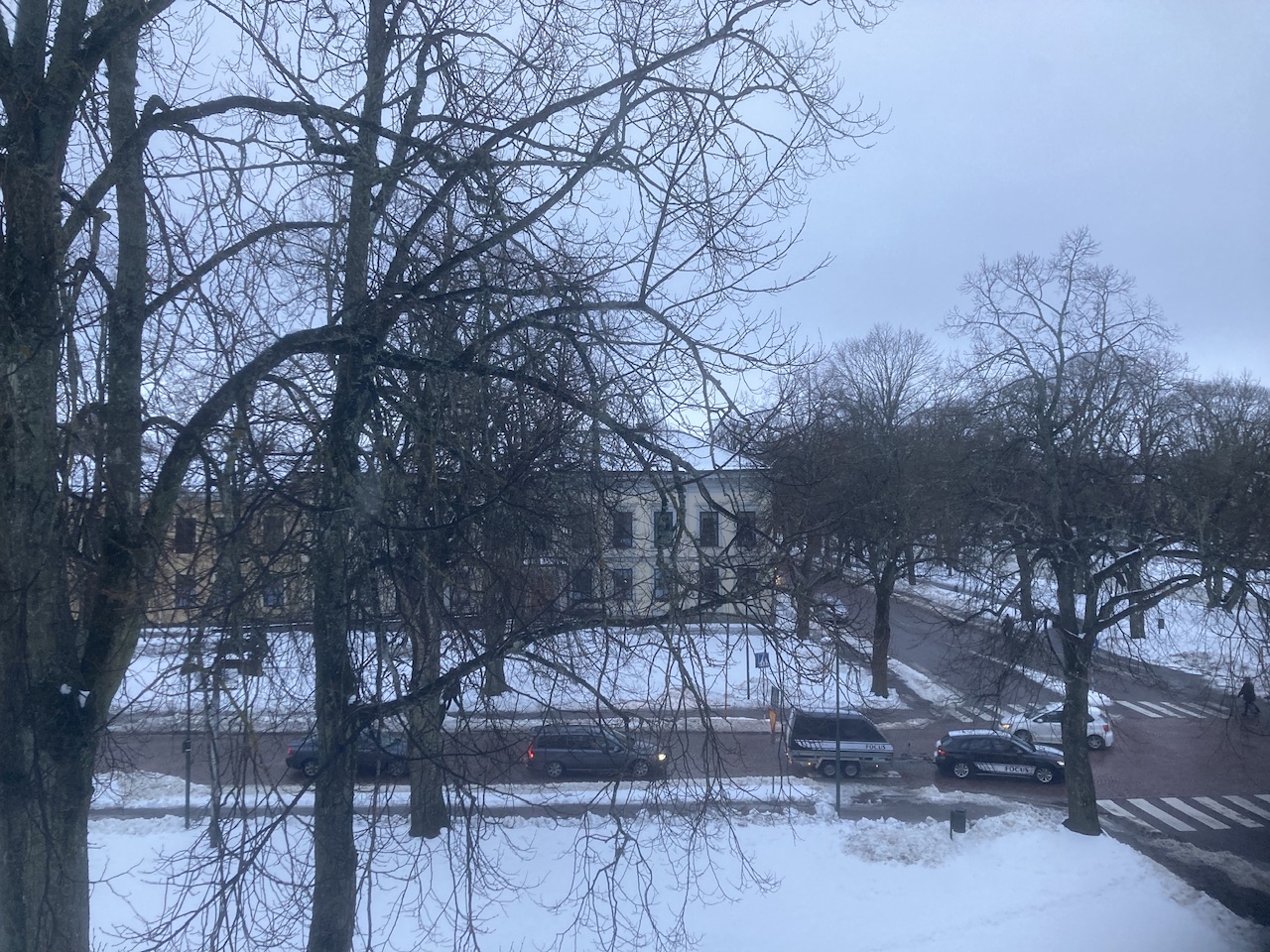 IMG_2318.jpeg