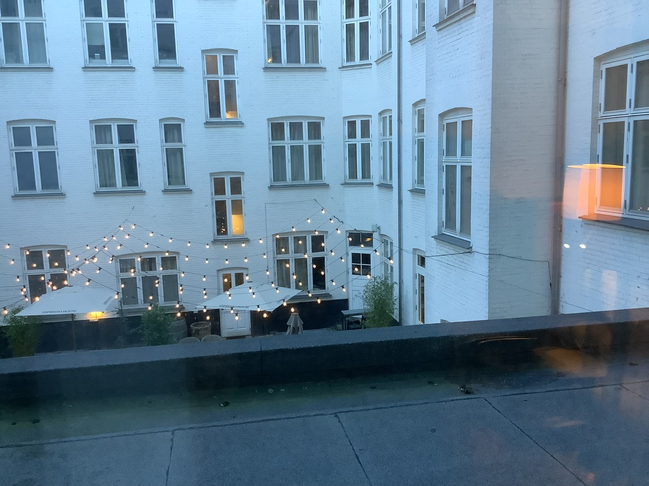 IMG_2452.jpeg