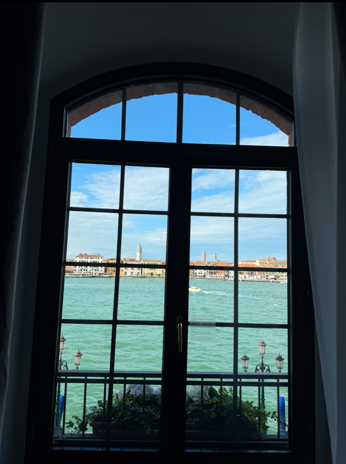 IMG_2595.jpeg