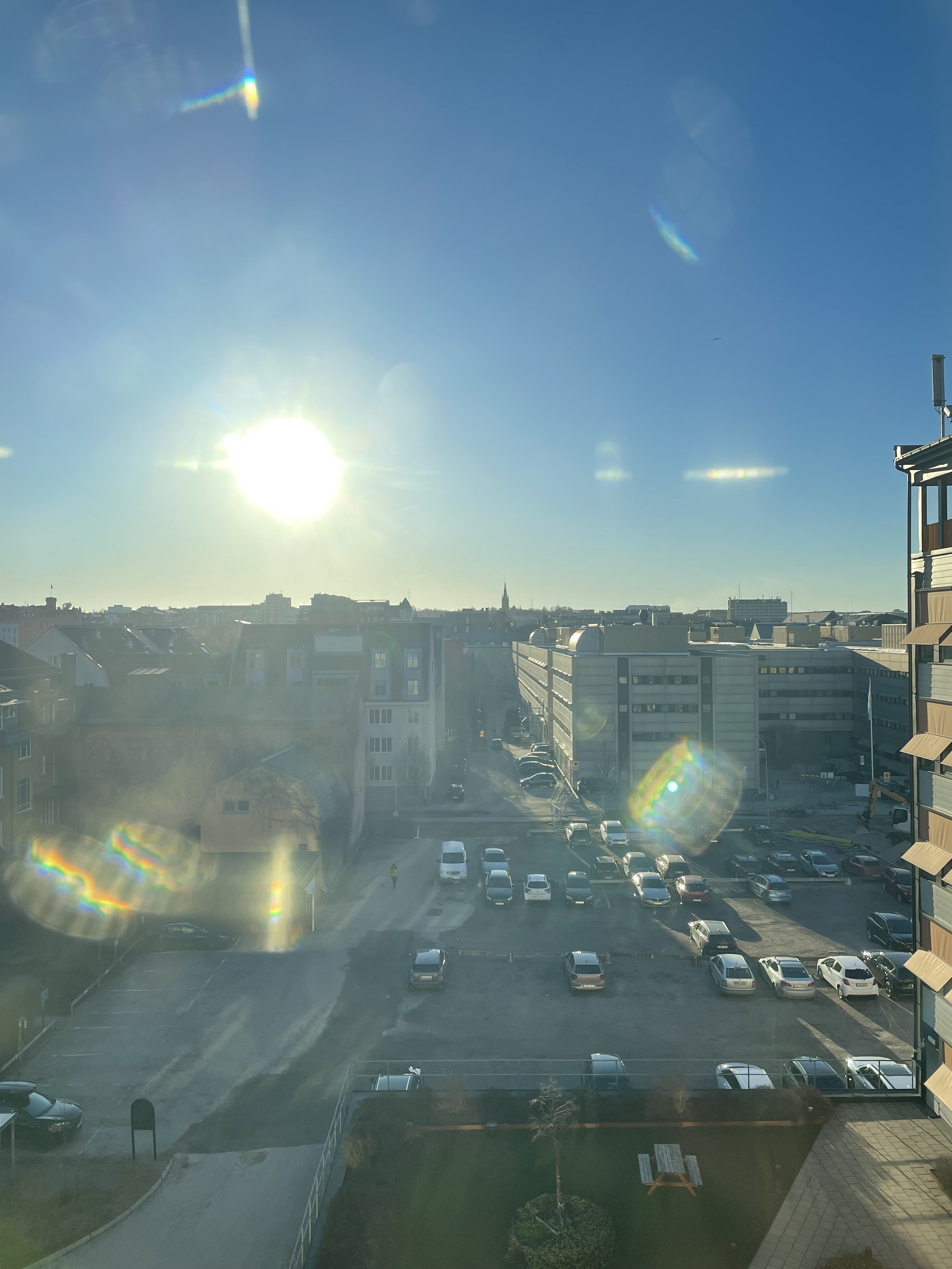 IMG_2649.jpeg