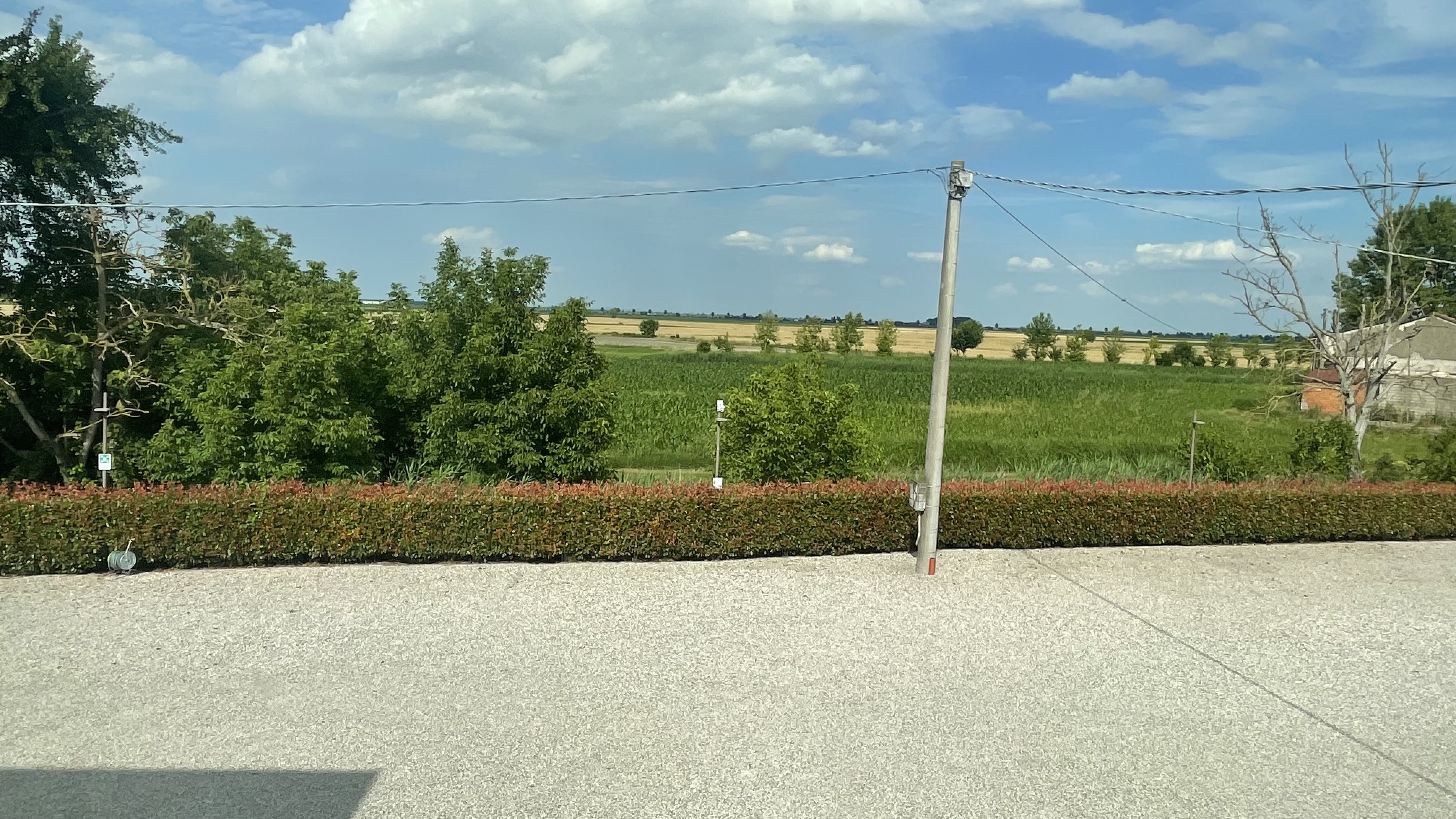 IMG_2679.jpeg
