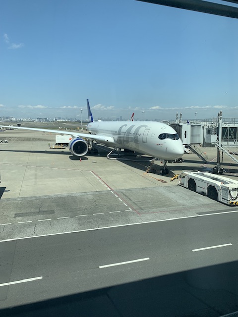 IMG_2873.jpeg