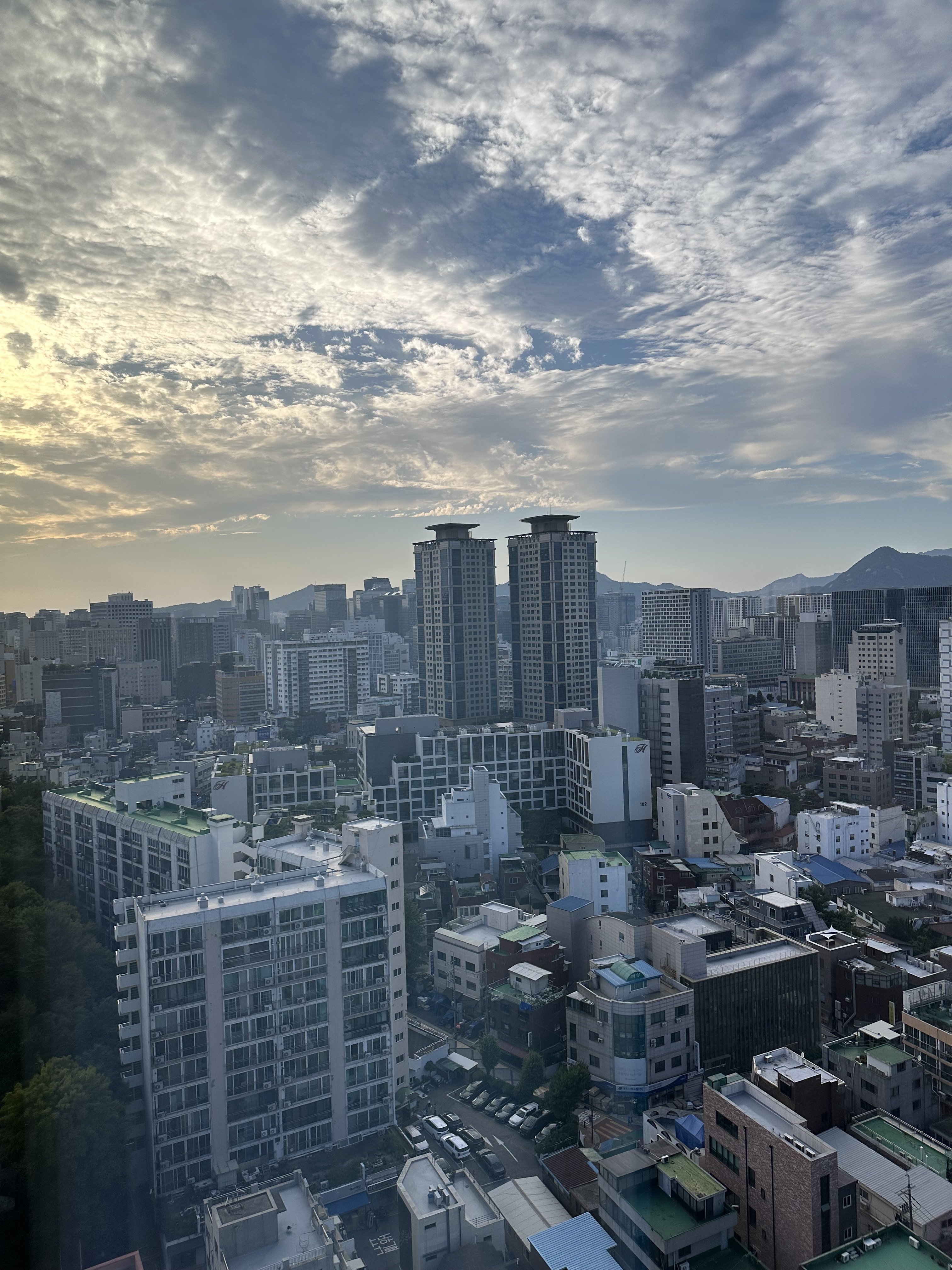 IMG_3351.jpeg