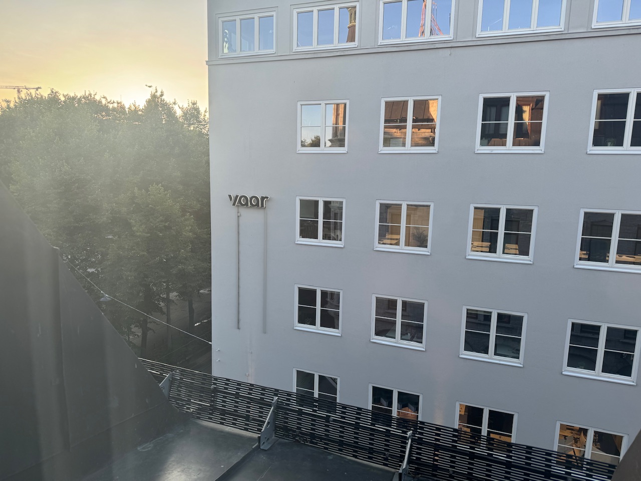 IMG_3391.jpeg