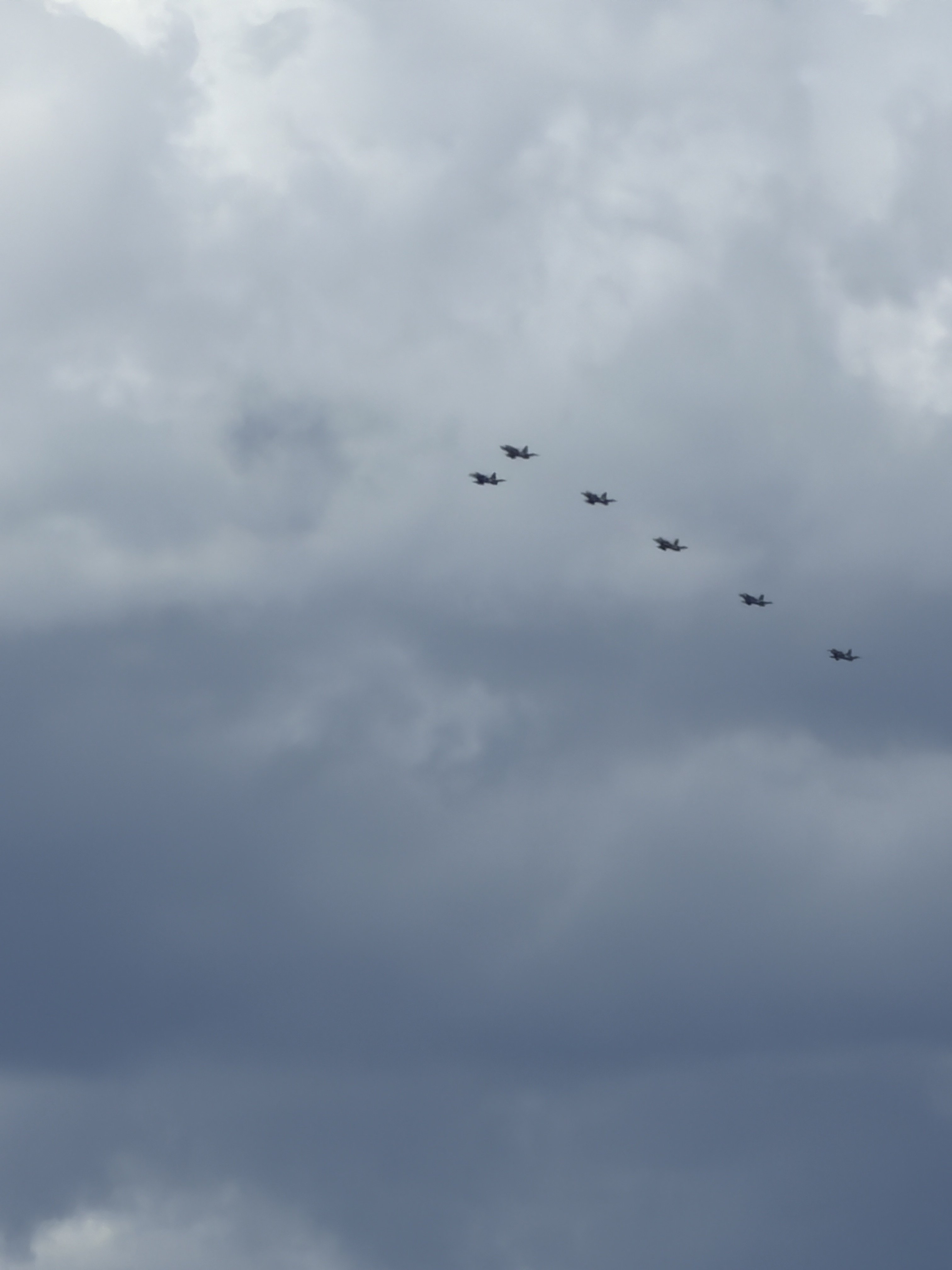 IMG_3420.jpeg