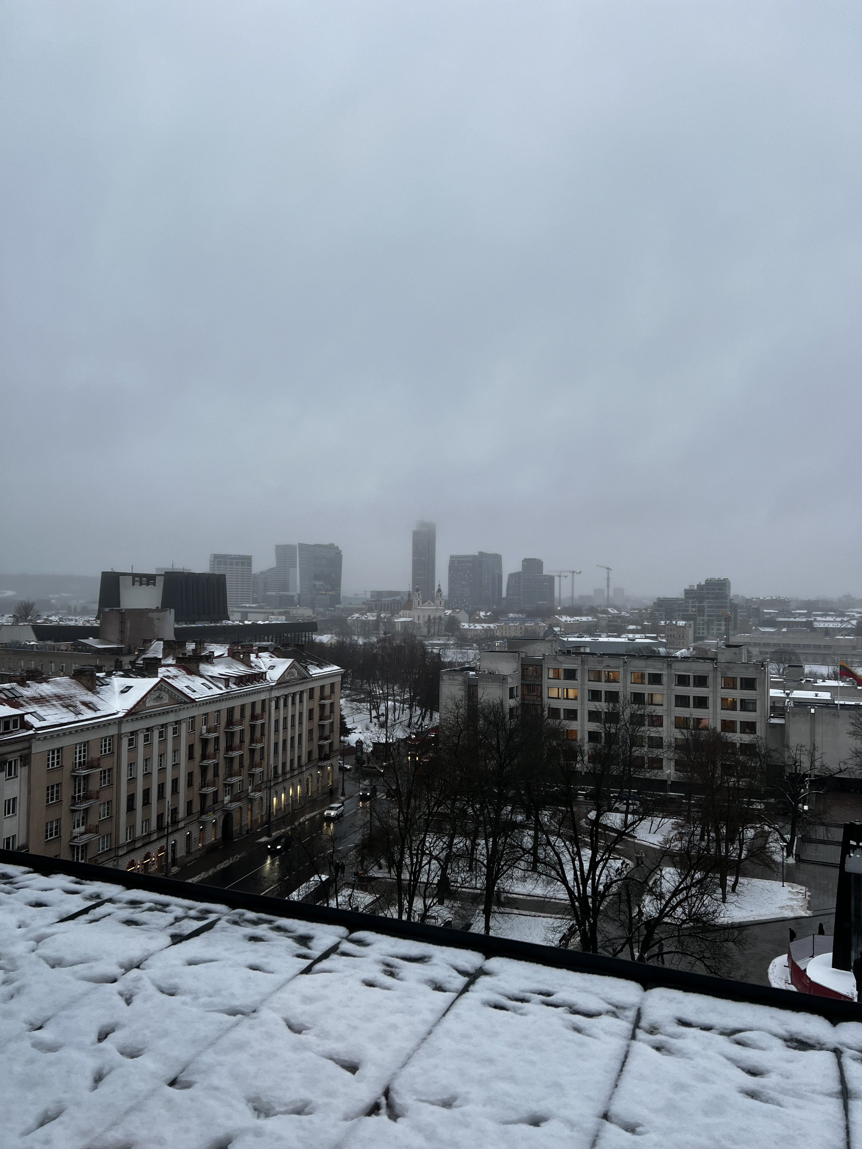 IMG_3479.jpeg