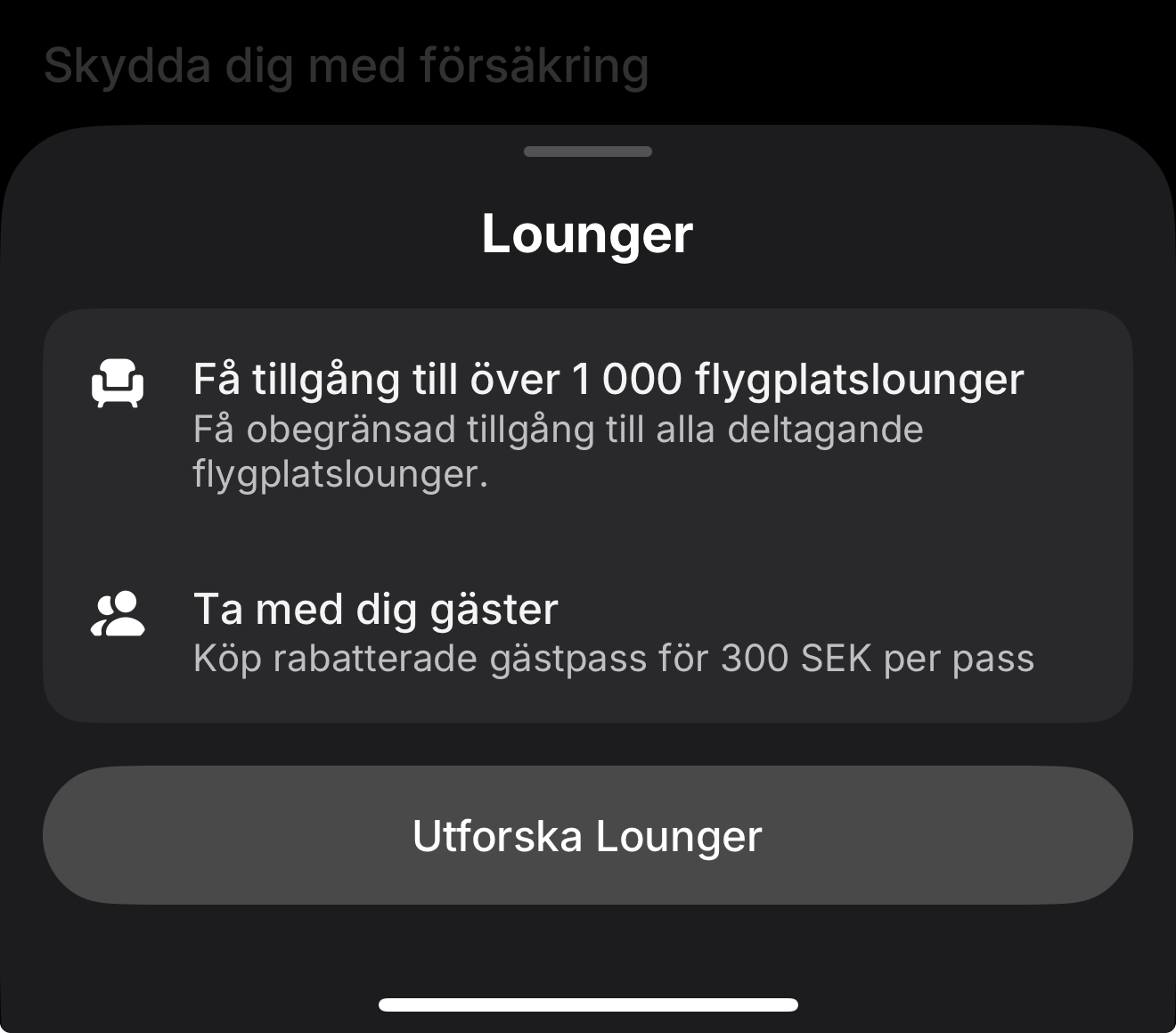 IMG_3508.jpeg