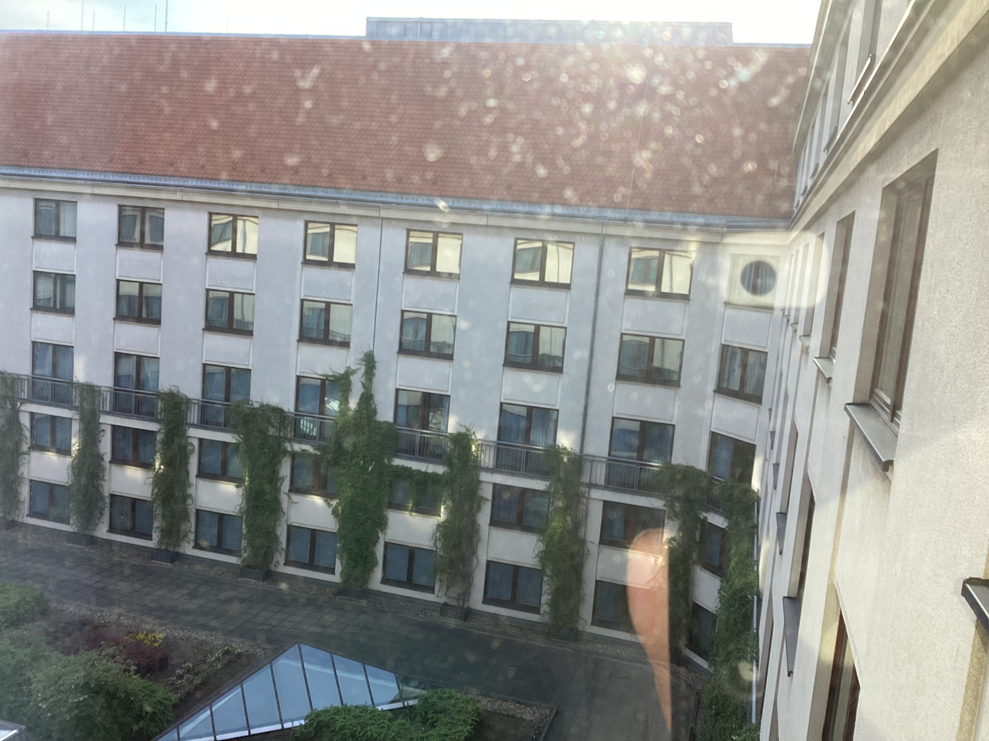 IMG_3663.jpeg
