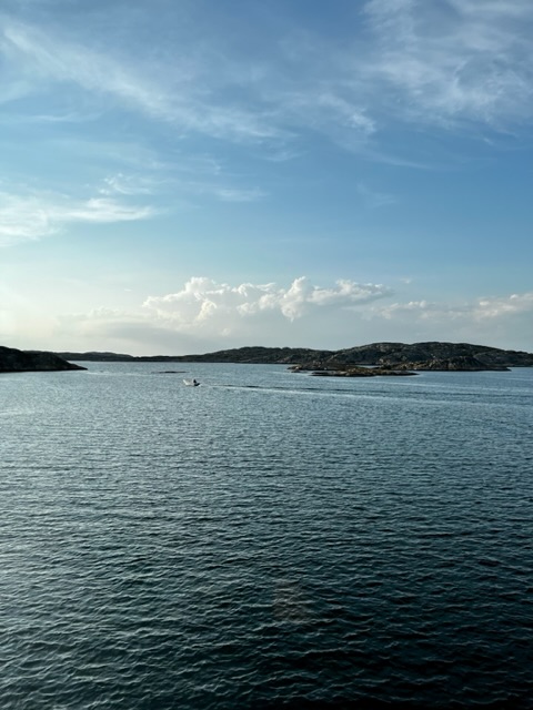 IMG_3670.jpeg