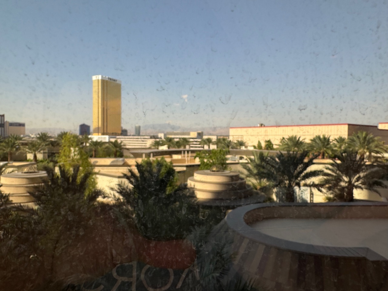 IMG_3723.jpeg