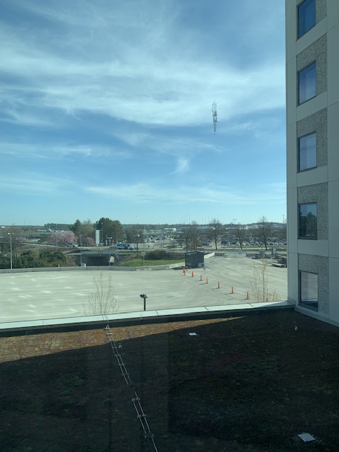 IMG_3781.jpeg