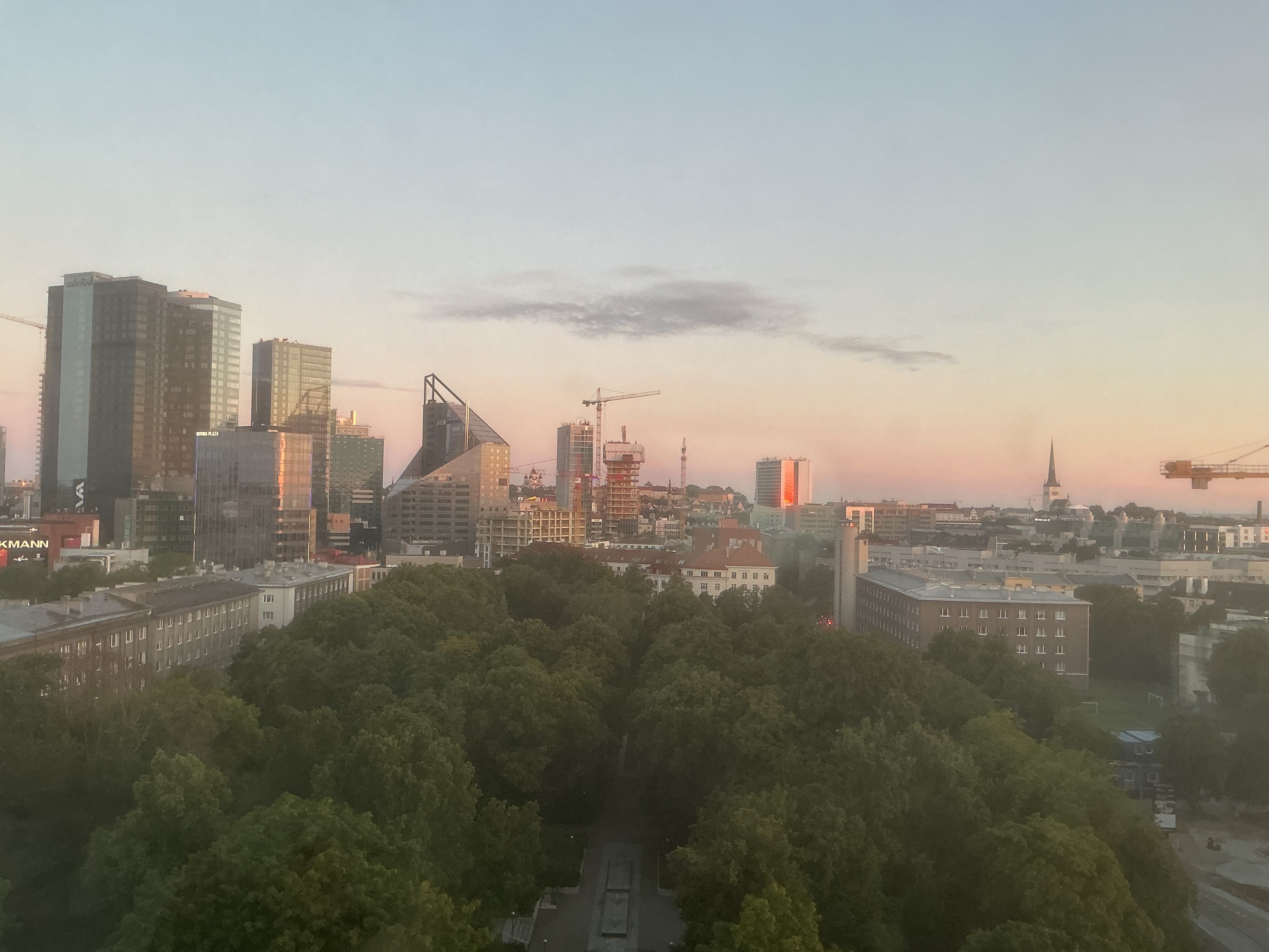 IMG_3840.jpeg
