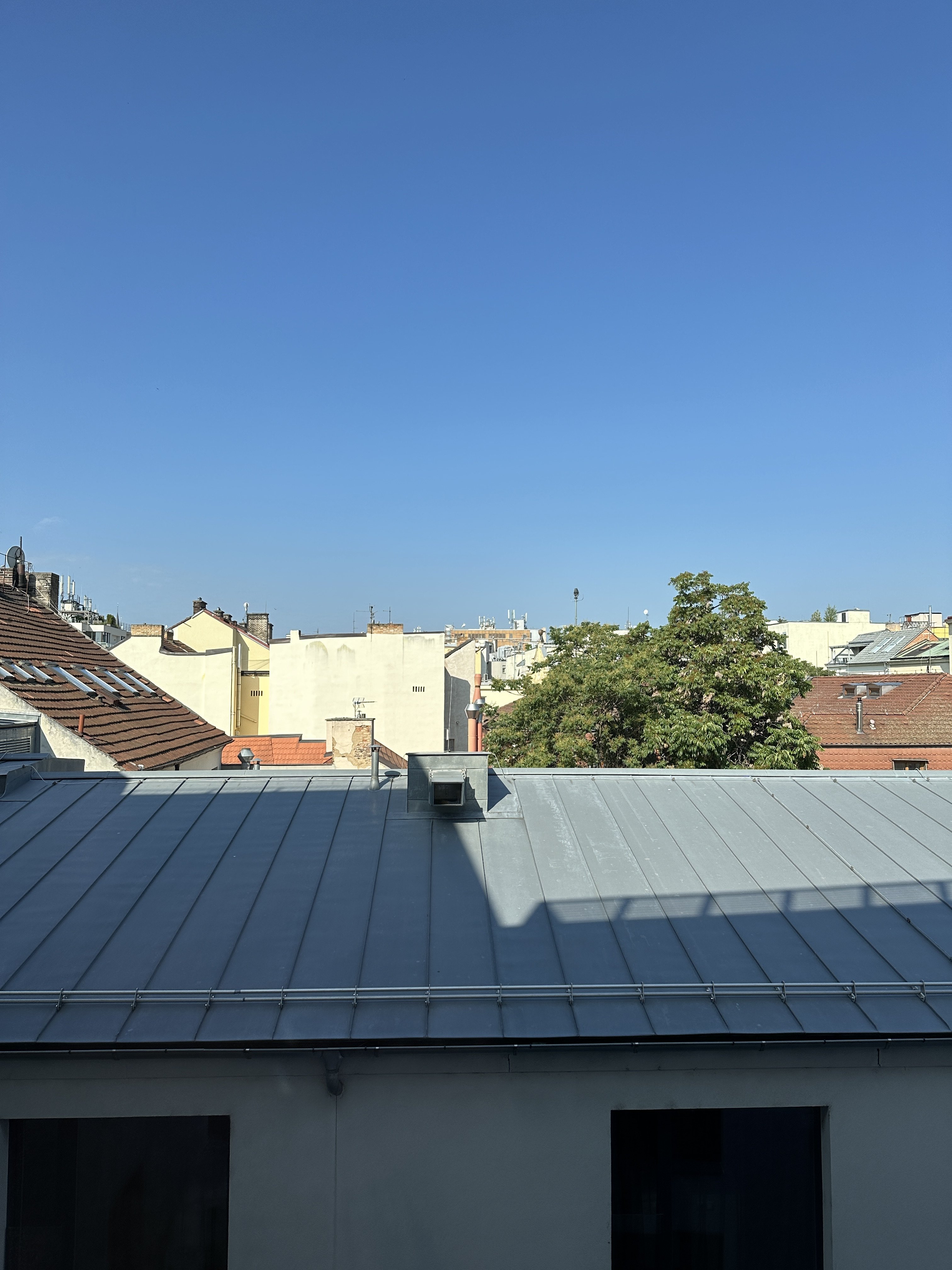 IMG_4044.jpeg