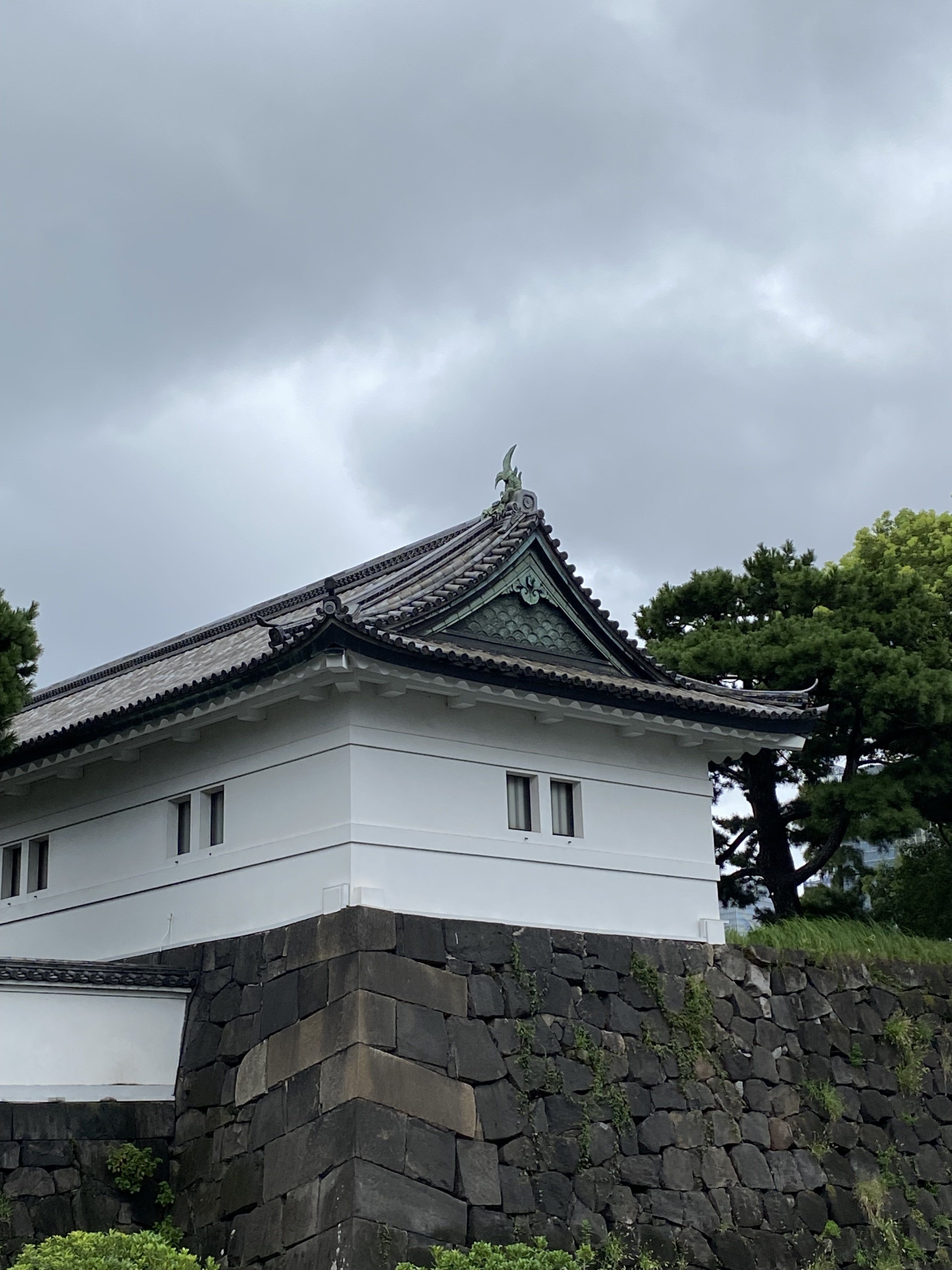 IMG_4449.jpeg