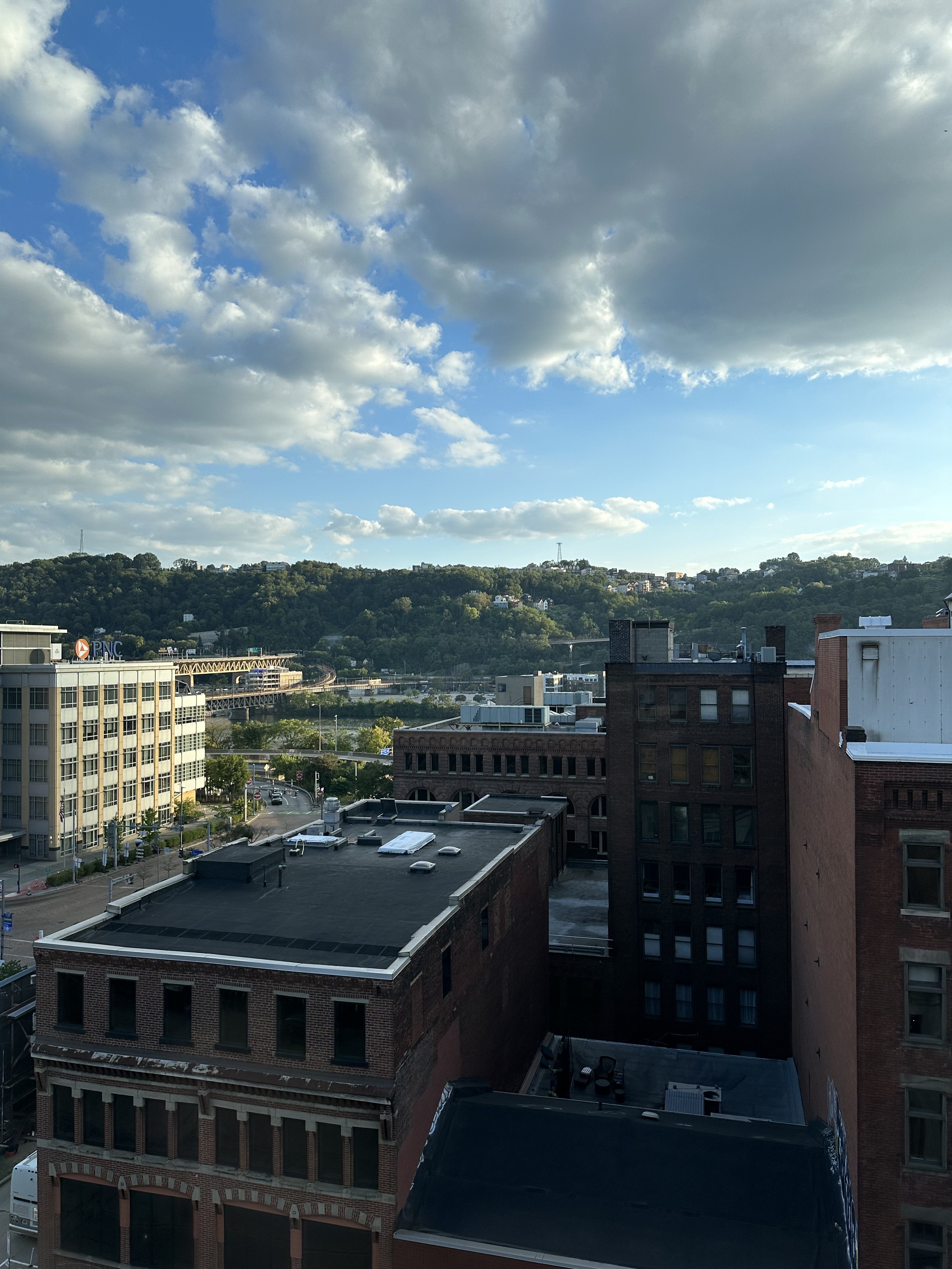 IMG_4503.jpeg