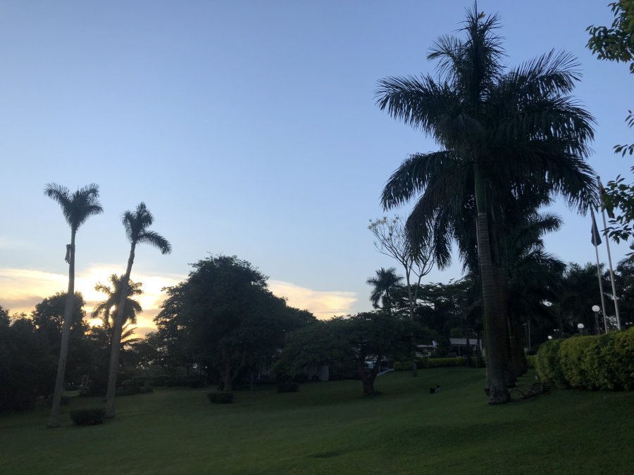 IMG_4715.JPEG