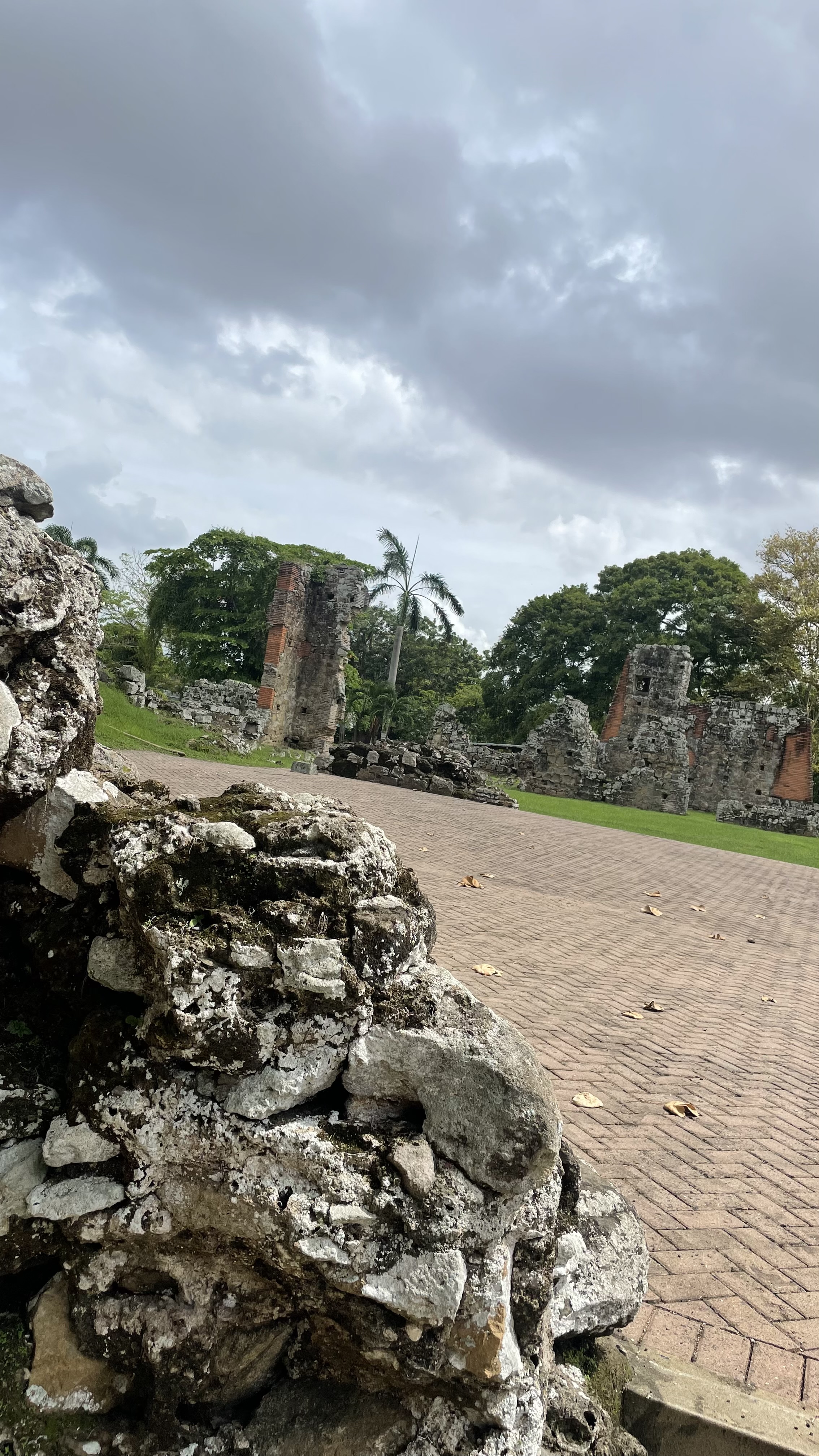 IMG_4883.jpeg