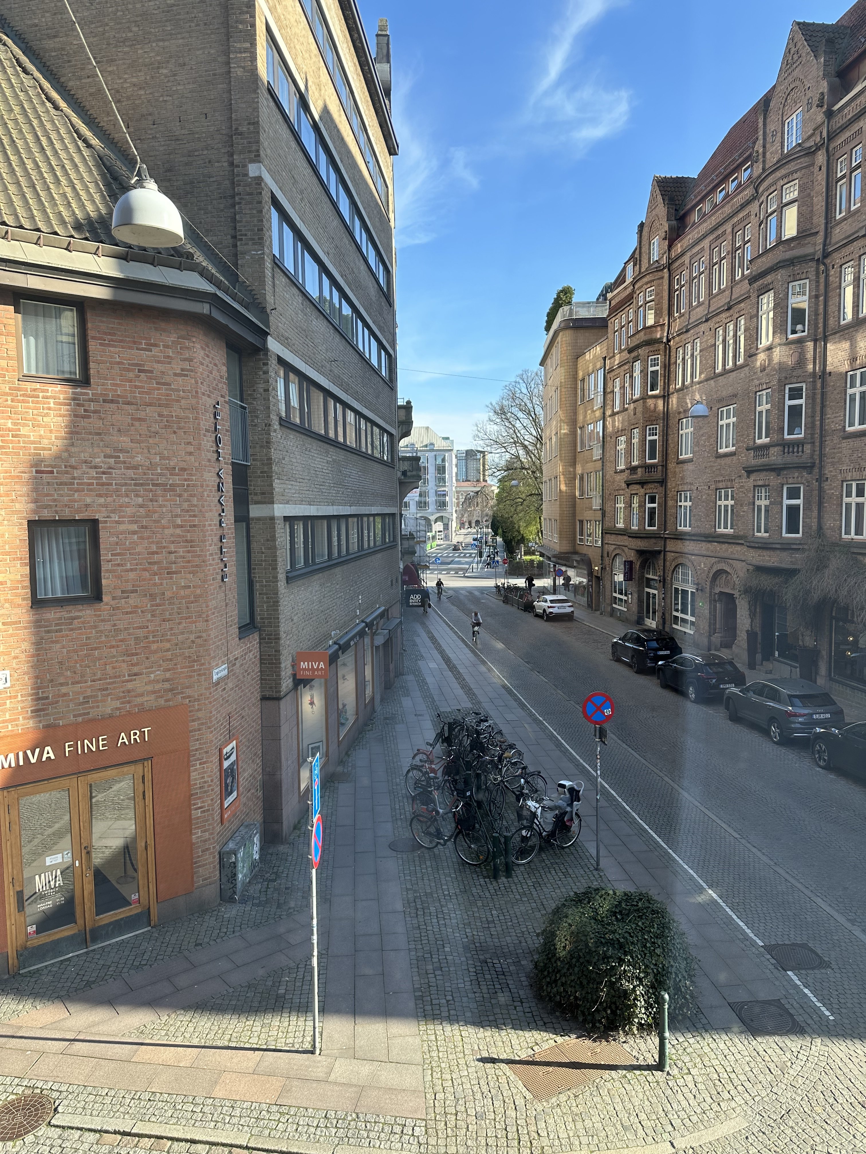 IMG_5377.jpeg