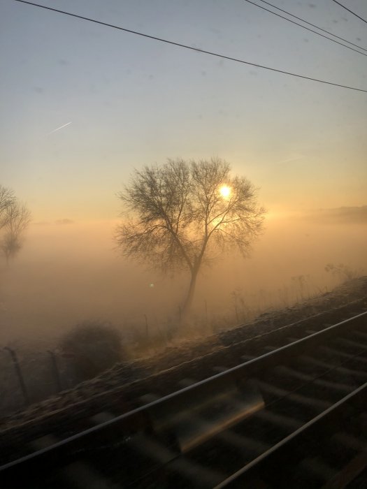 IMG_5405.JPEG