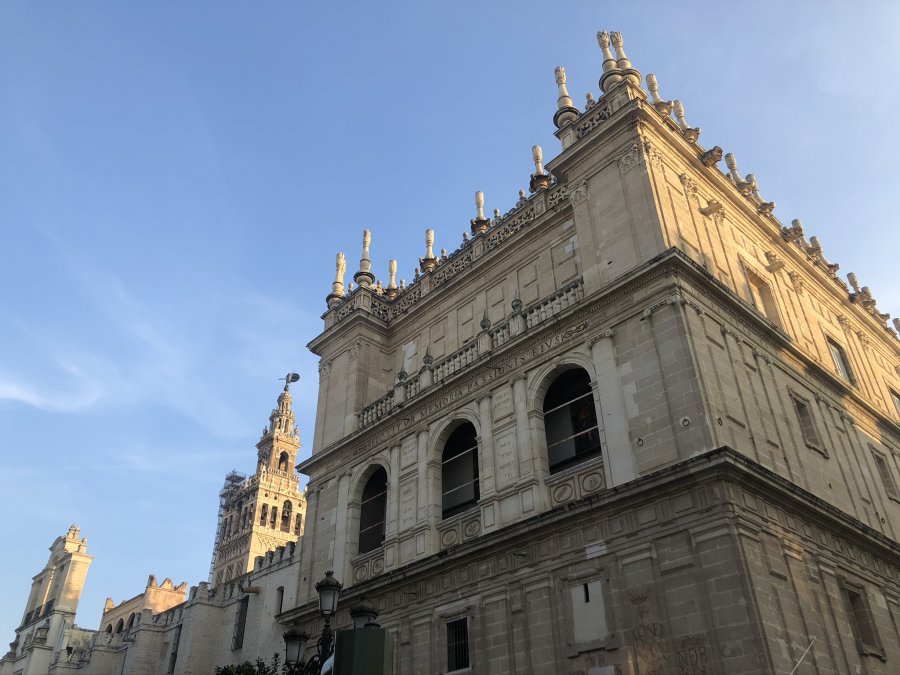IMG_5440.JPEG
