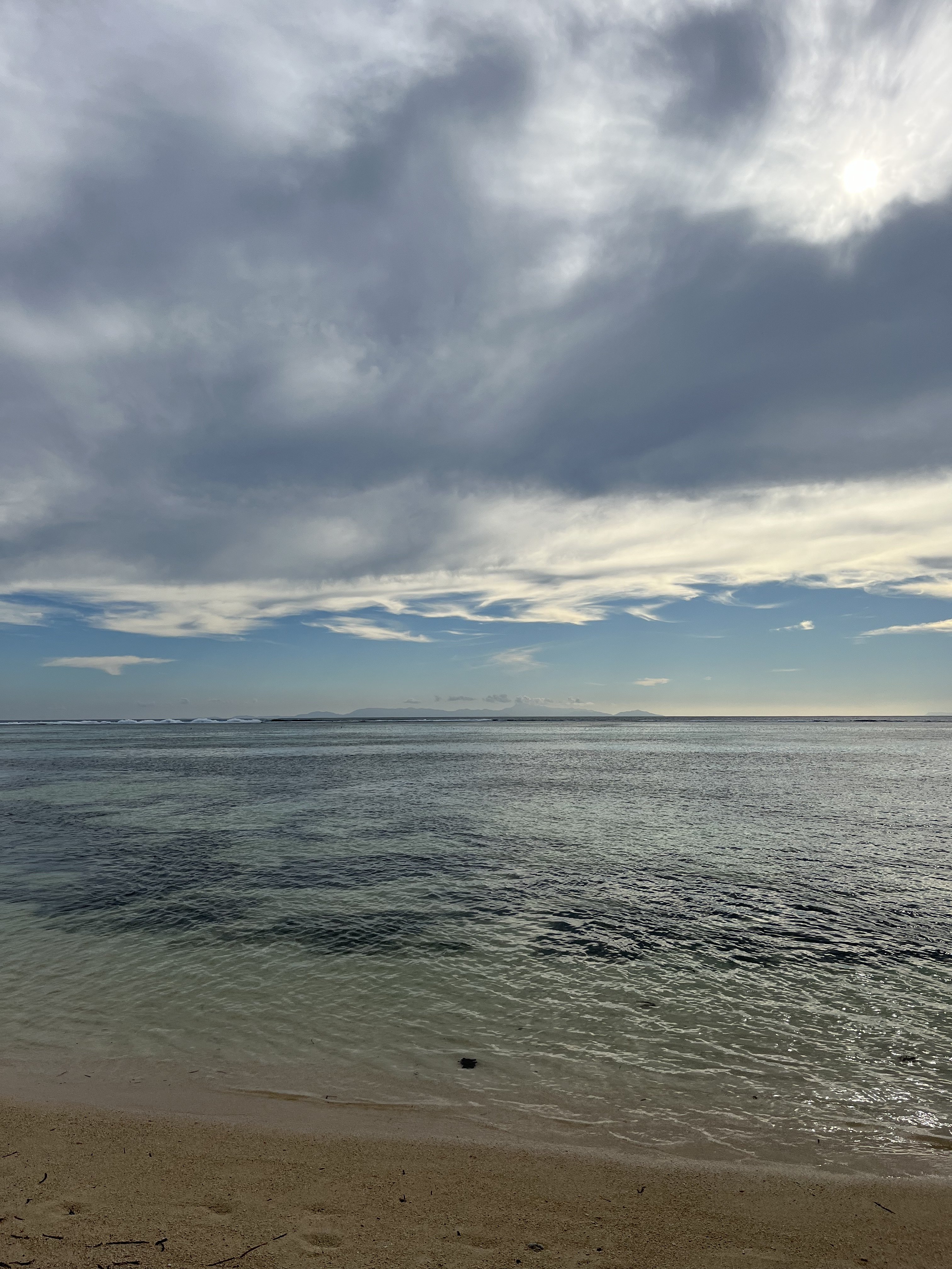 IMG_5479.jpeg
