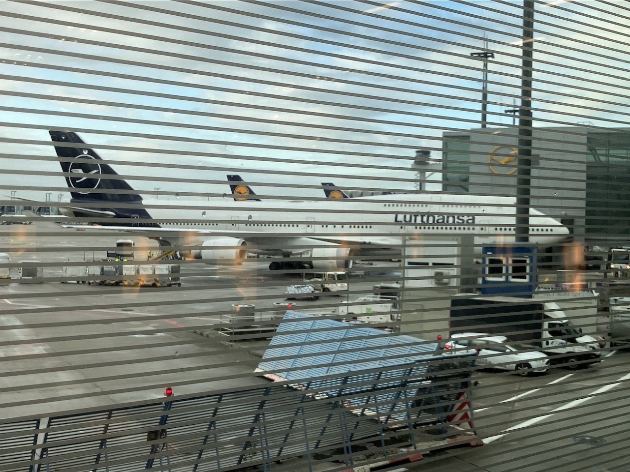 IMG_6082.jpeg