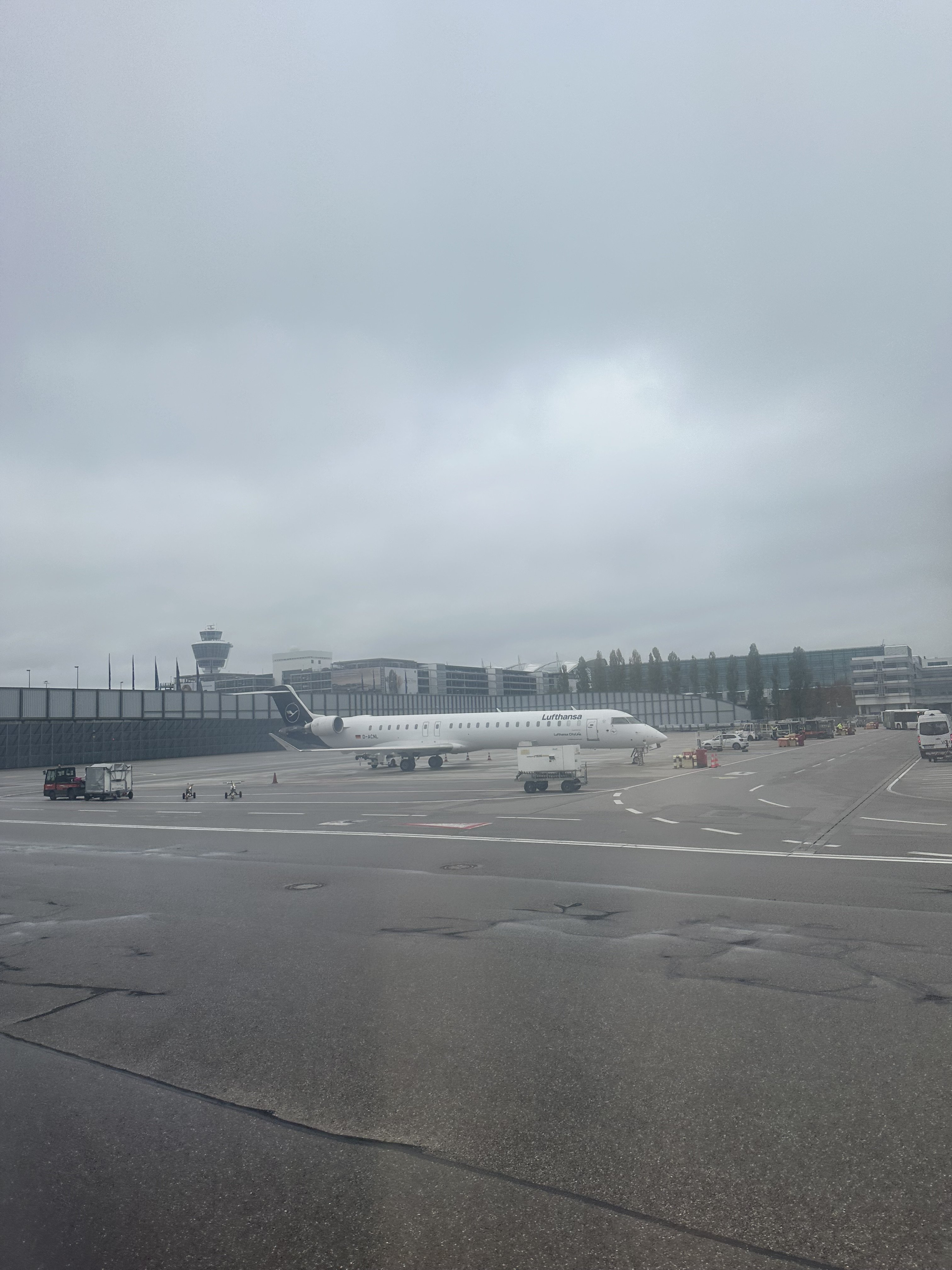 IMG_6253.jpeg
