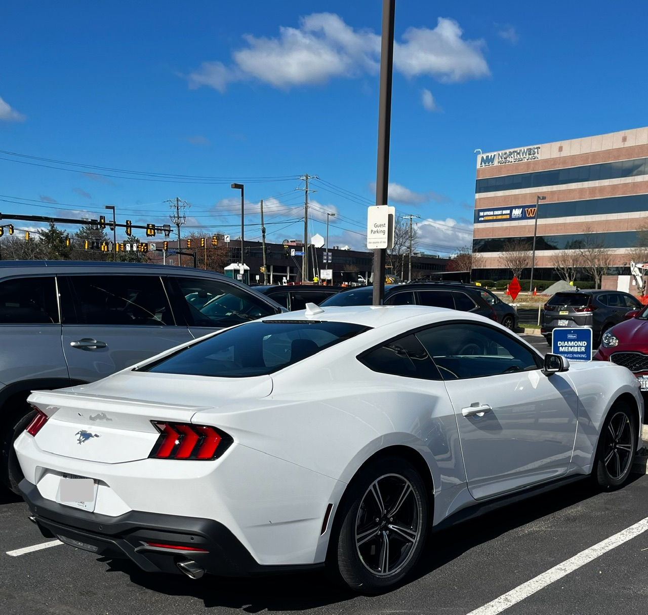 IMG_6467.jpeg