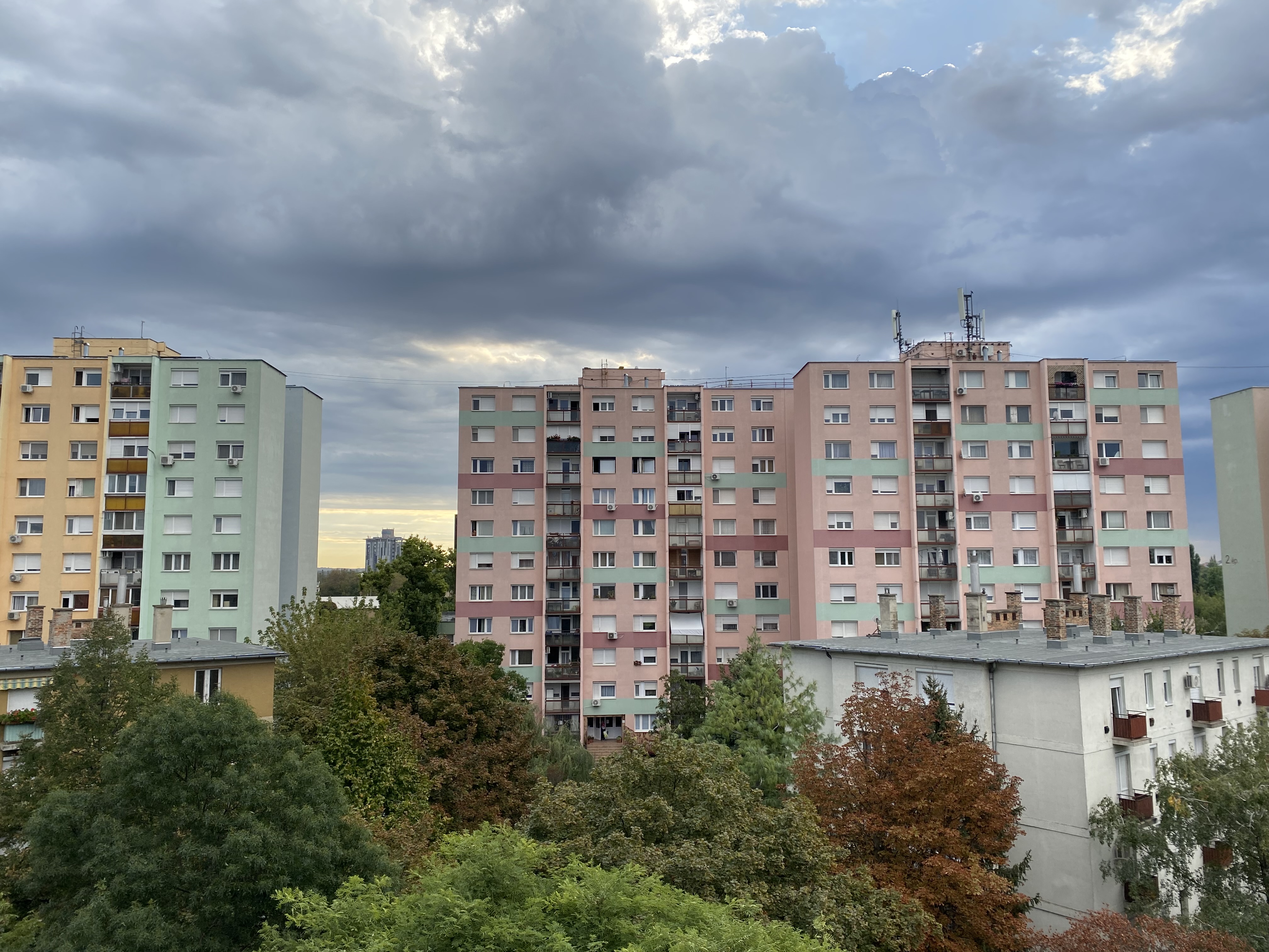 IMG_6640.jpeg