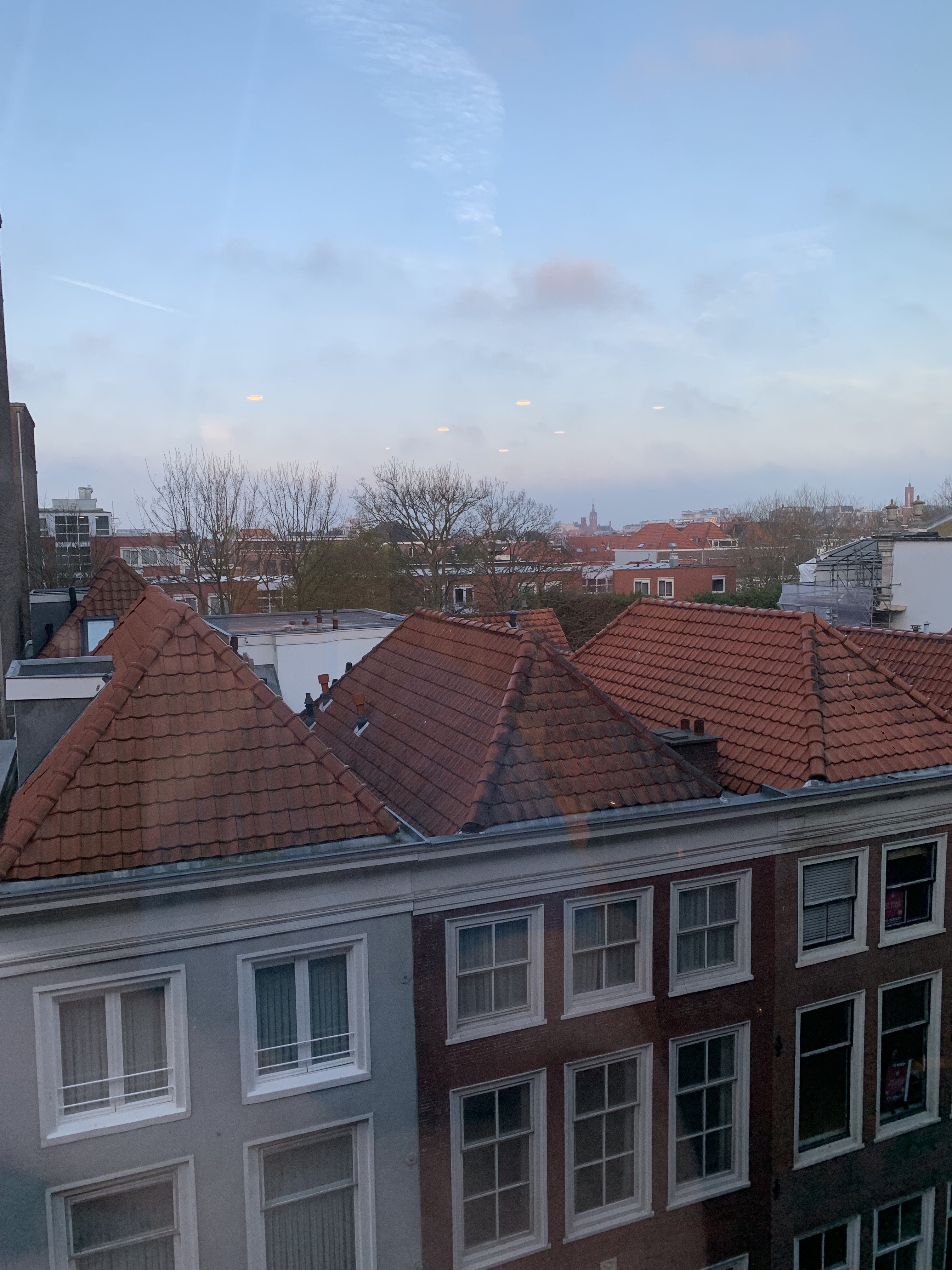 IMG_6644.jpeg