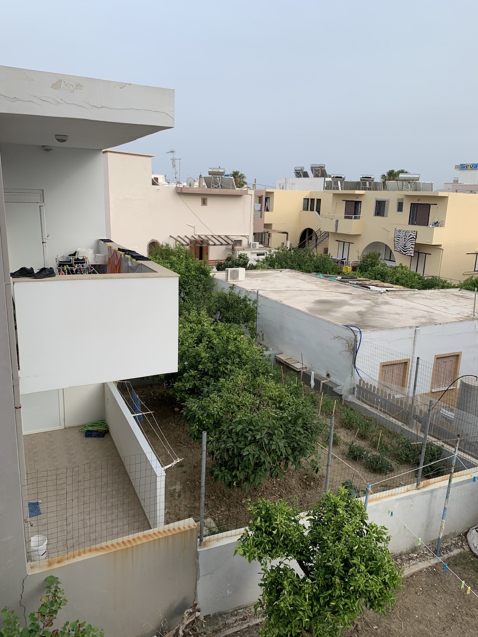 IMG_6772.jpeg