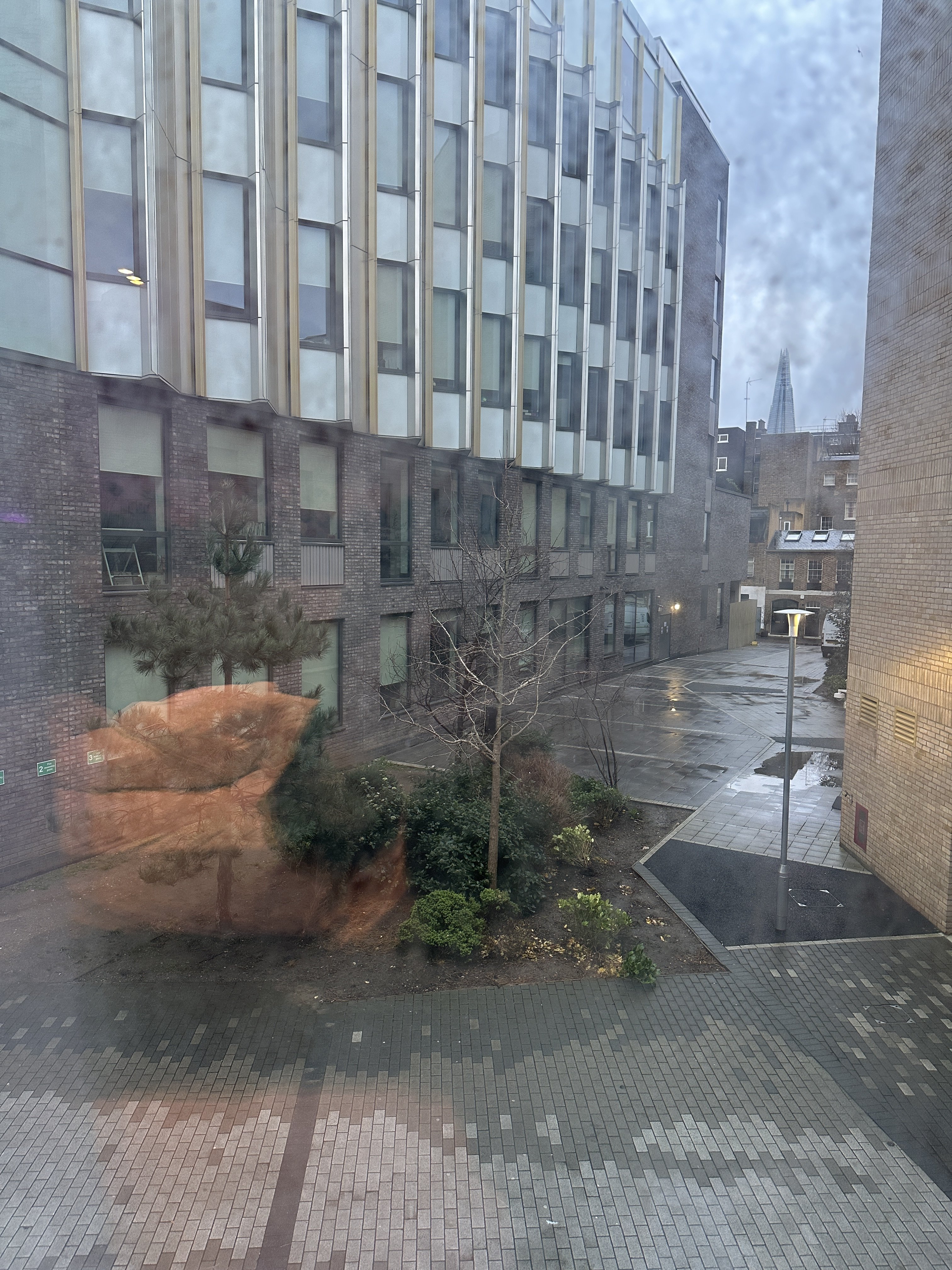 IMG_6810.jpeg