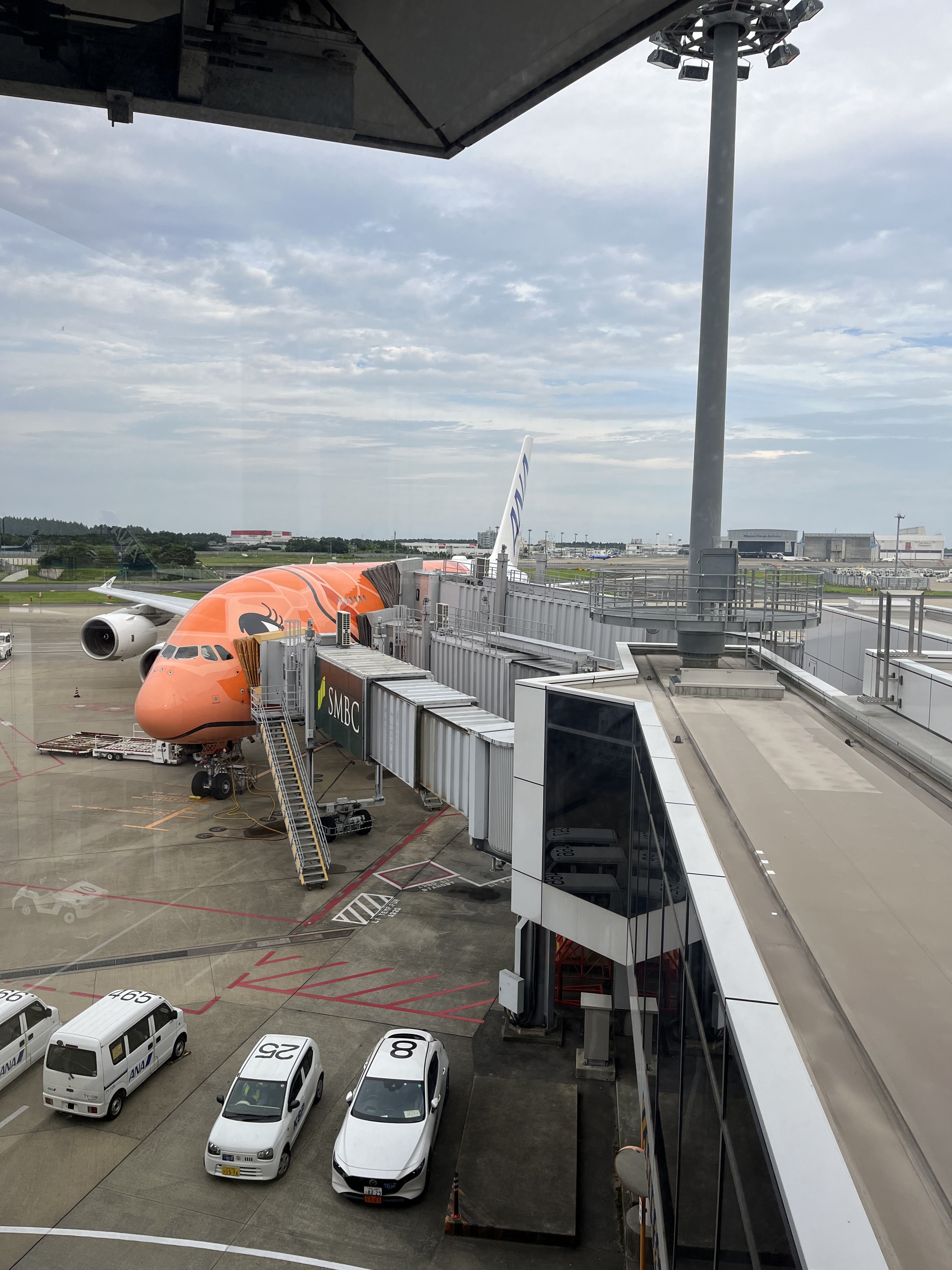 IMG_6835.jpeg