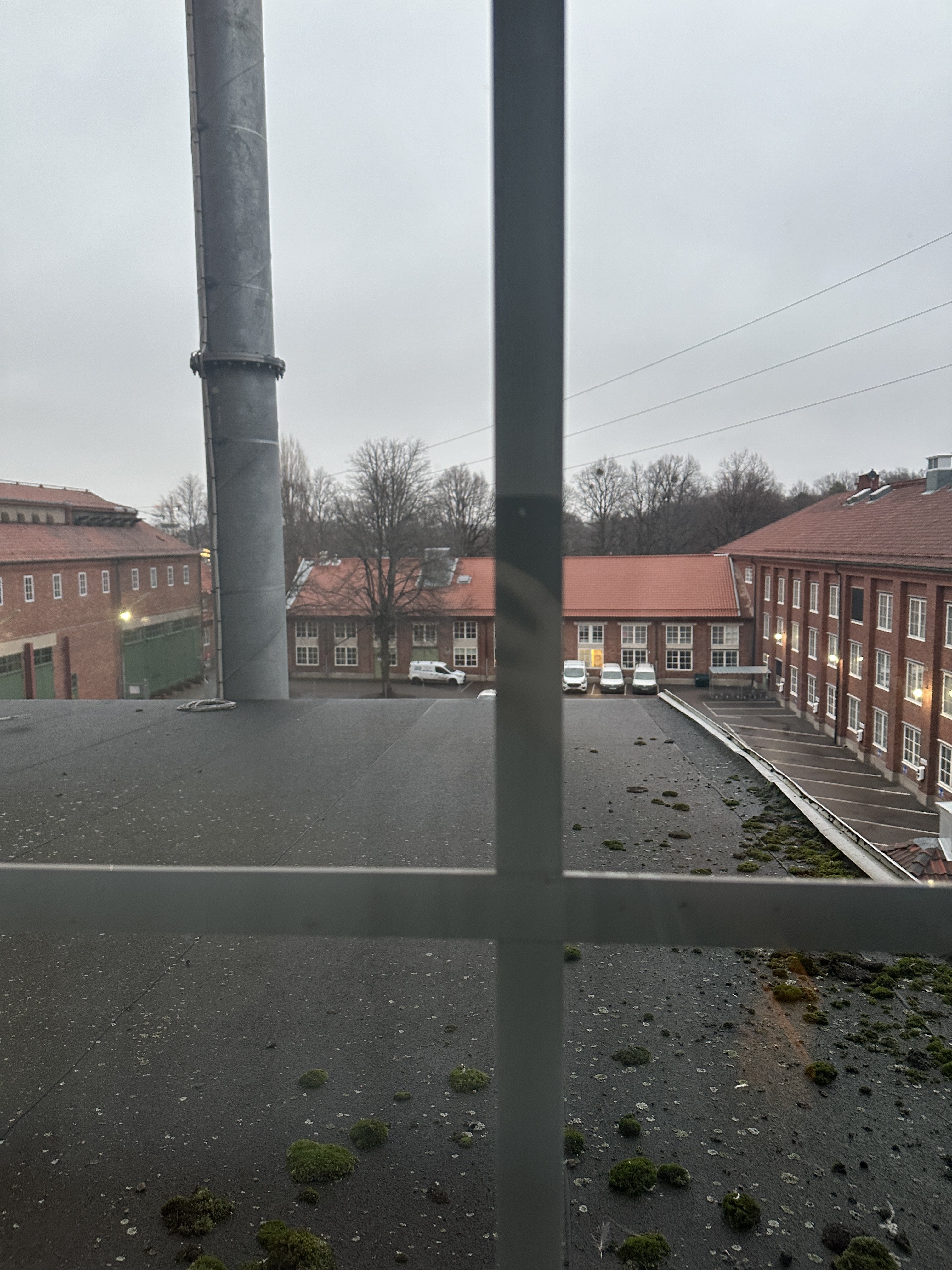 IMG_6945.jpeg