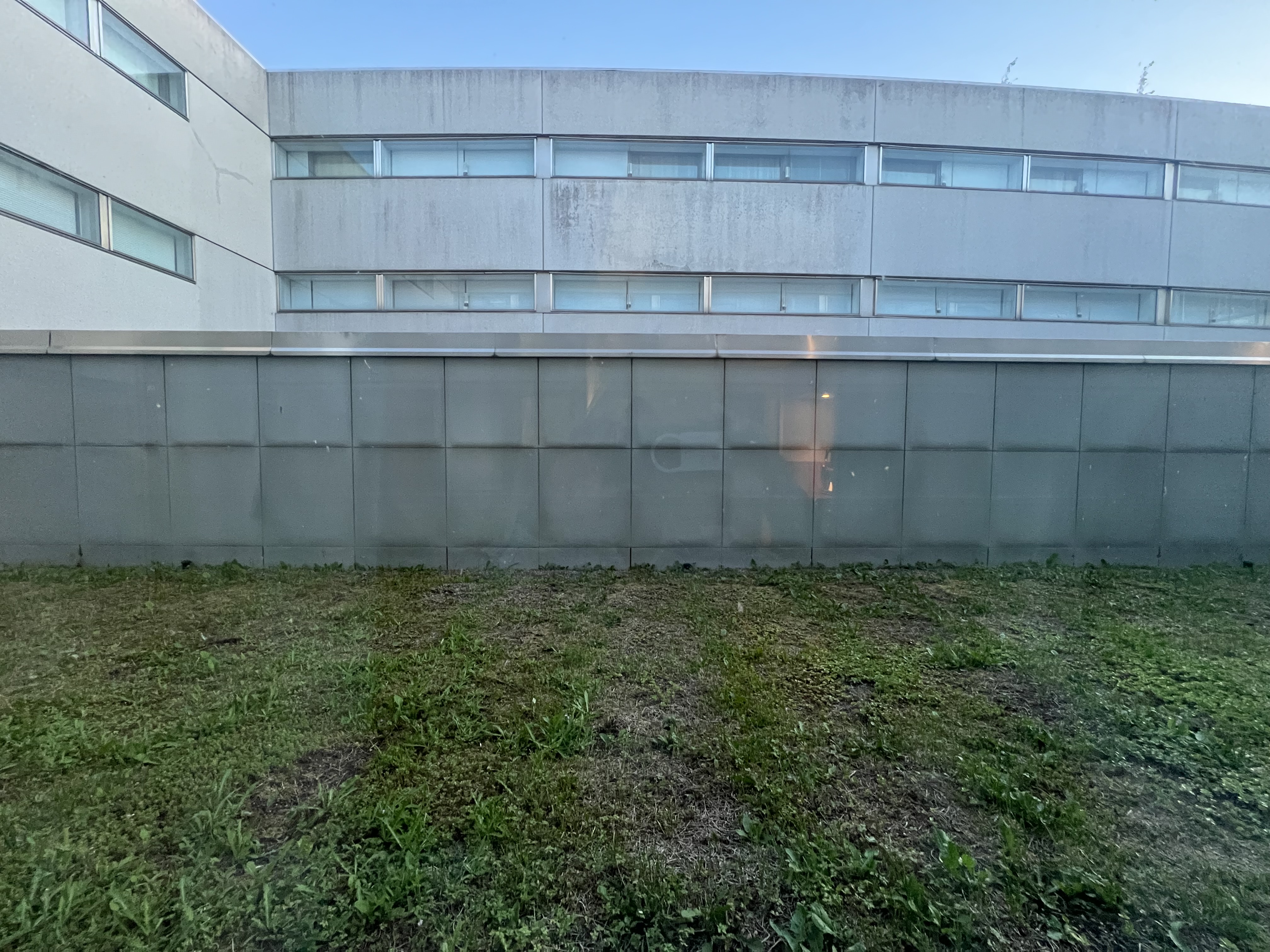 IMG_7051.jpeg