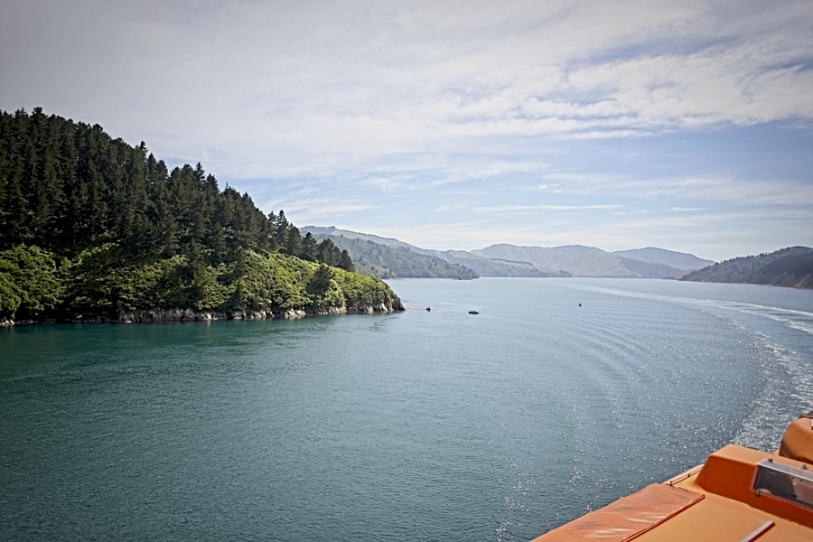 IMG_7059.jpg