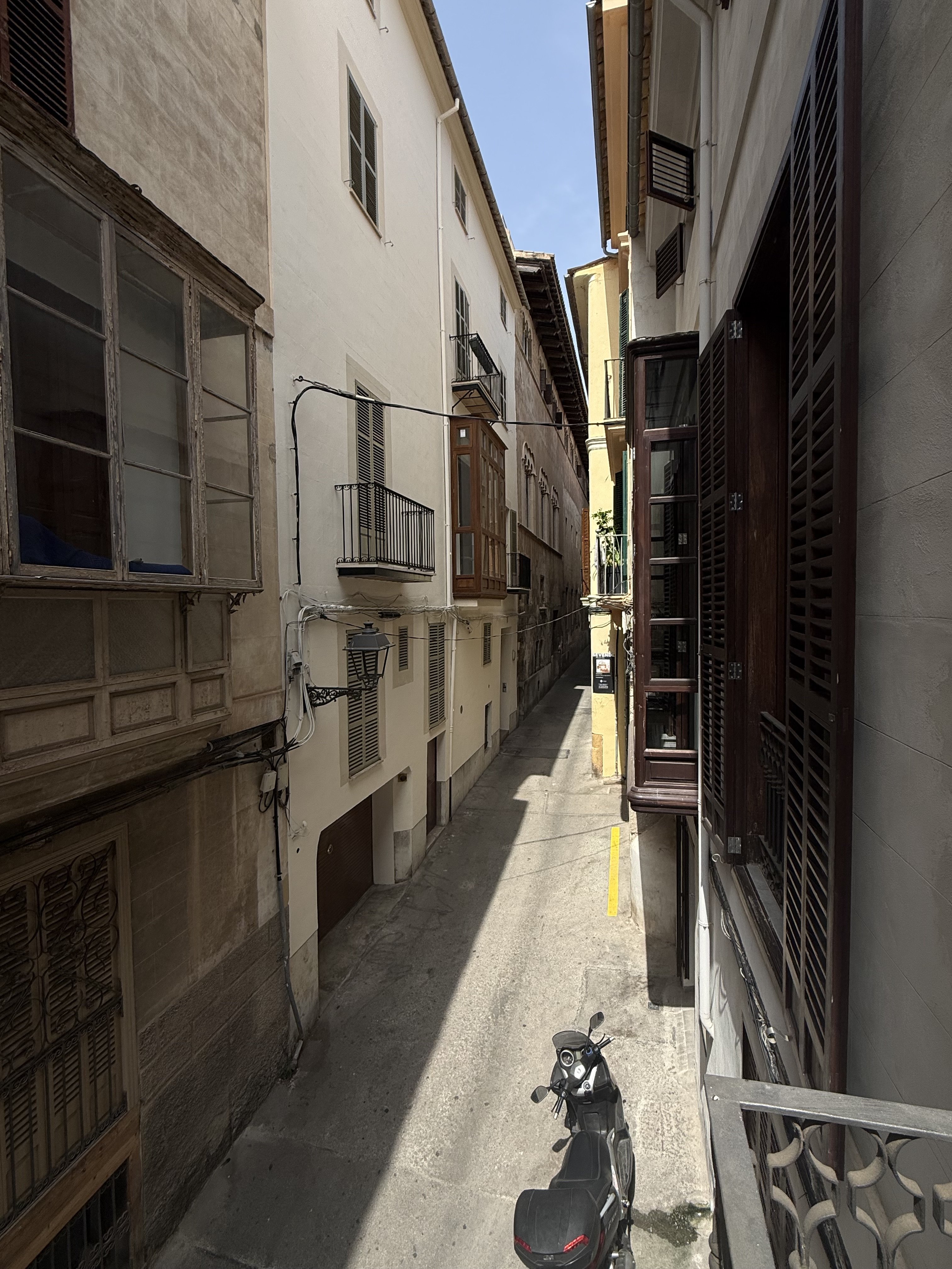 IMG_7099.jpeg