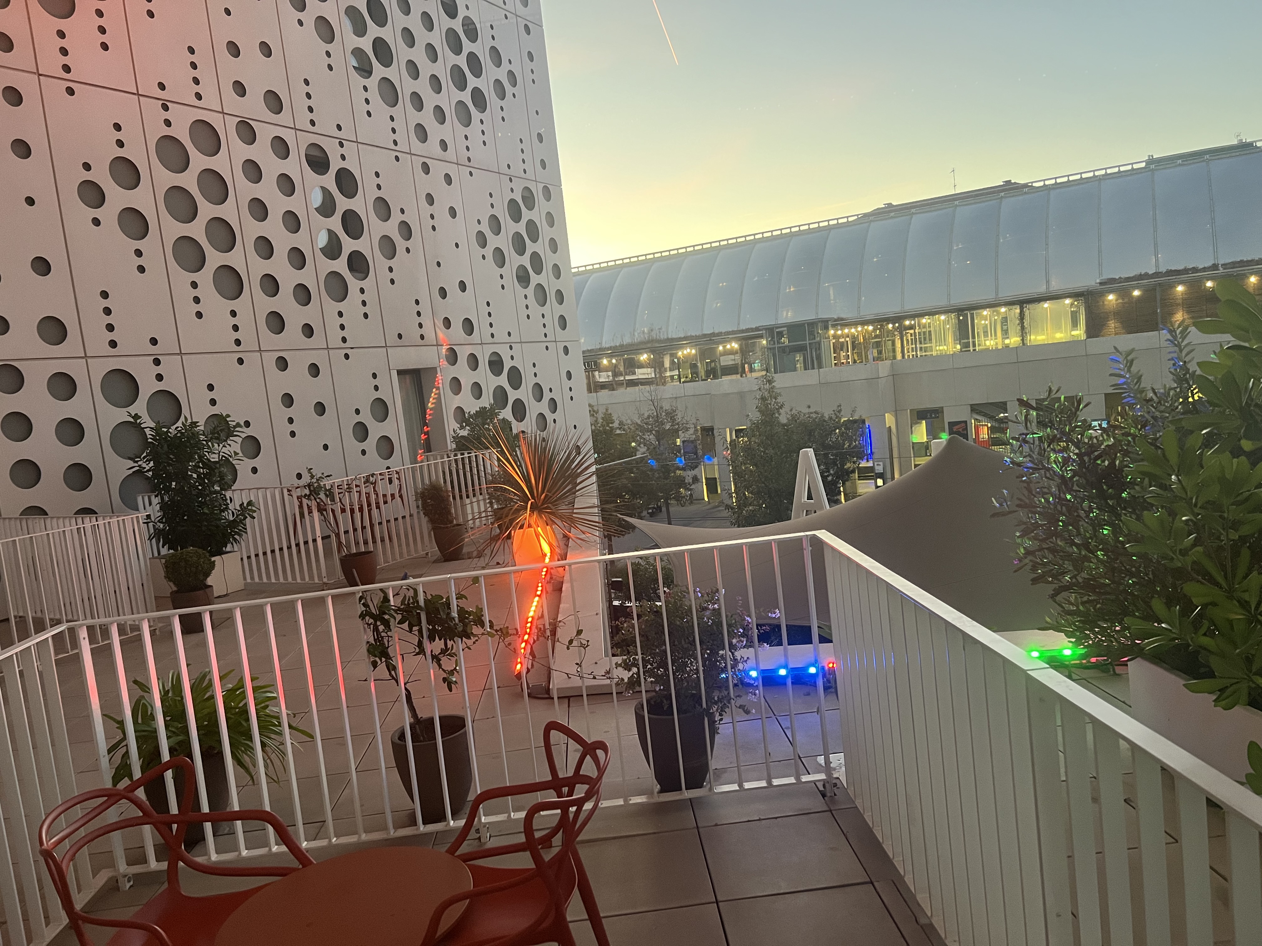 IMG_7362.jpeg